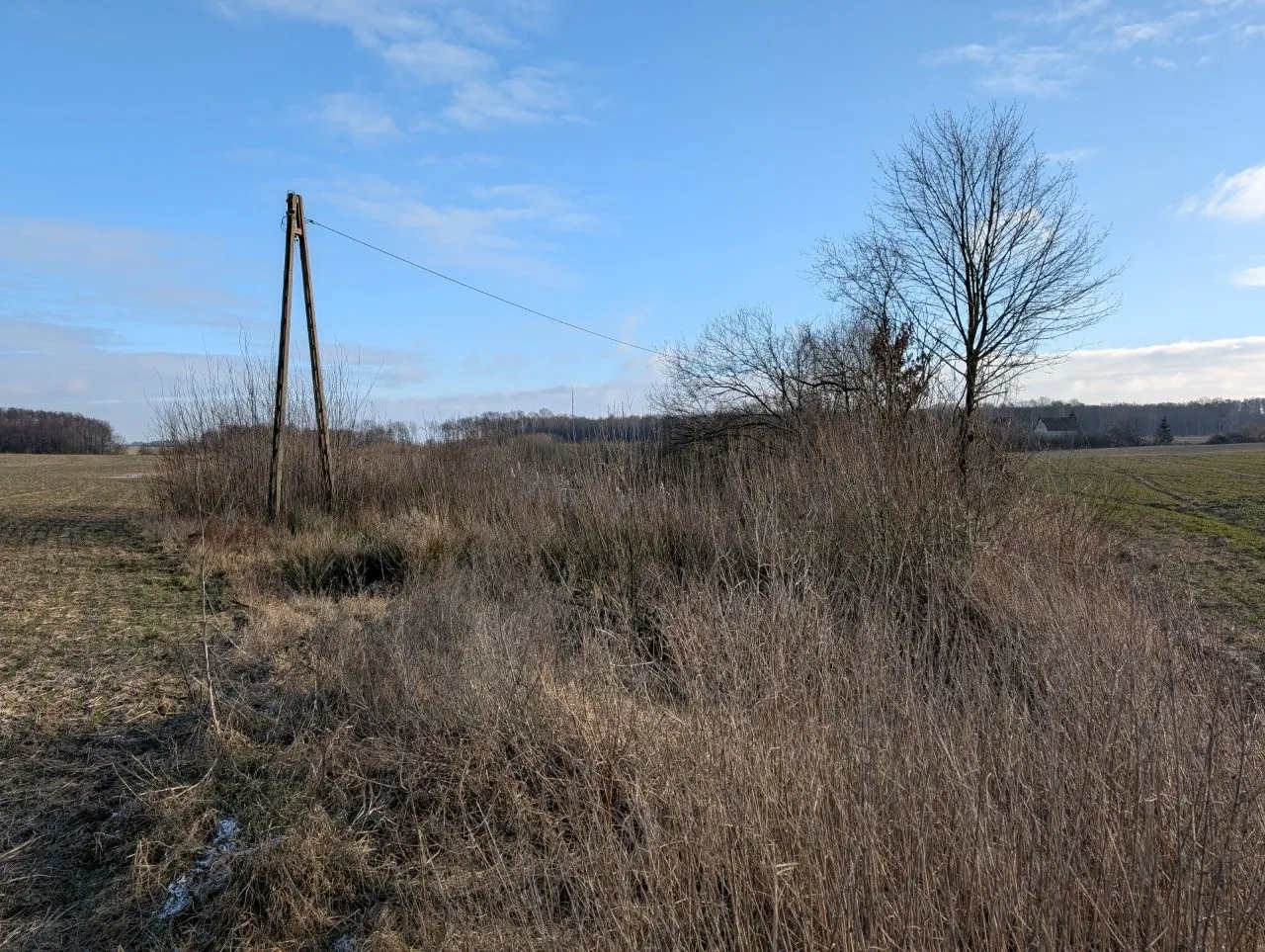 Krajobraz wiejski z polem pokrytym suchą, brązową trawą i niską roślinnością. Po lewej stronie znajduje się drewniany słup energetyczny w kształcie litery A, od którego odchodzi linia napowietrzna biegnąca w prawo. W tle widoczne są bezlistne drzewa, krzewy oraz fragmenty lasu pod jasnoniebieskim niebem z lekkimi chmurami.