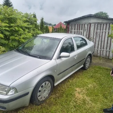 Srebrny samochód osobowy typu sedan zaparkowany na trawie. Po lewej stronie obrazu gęsty zielony krzew, w tle drewniana szopa z pionowymi listwami oraz domy z czerwonymi dachami. Niebo jest zachmurzone. W prawym dolnym rogu widoczna część nogi osoby w czarnej obuwie.
