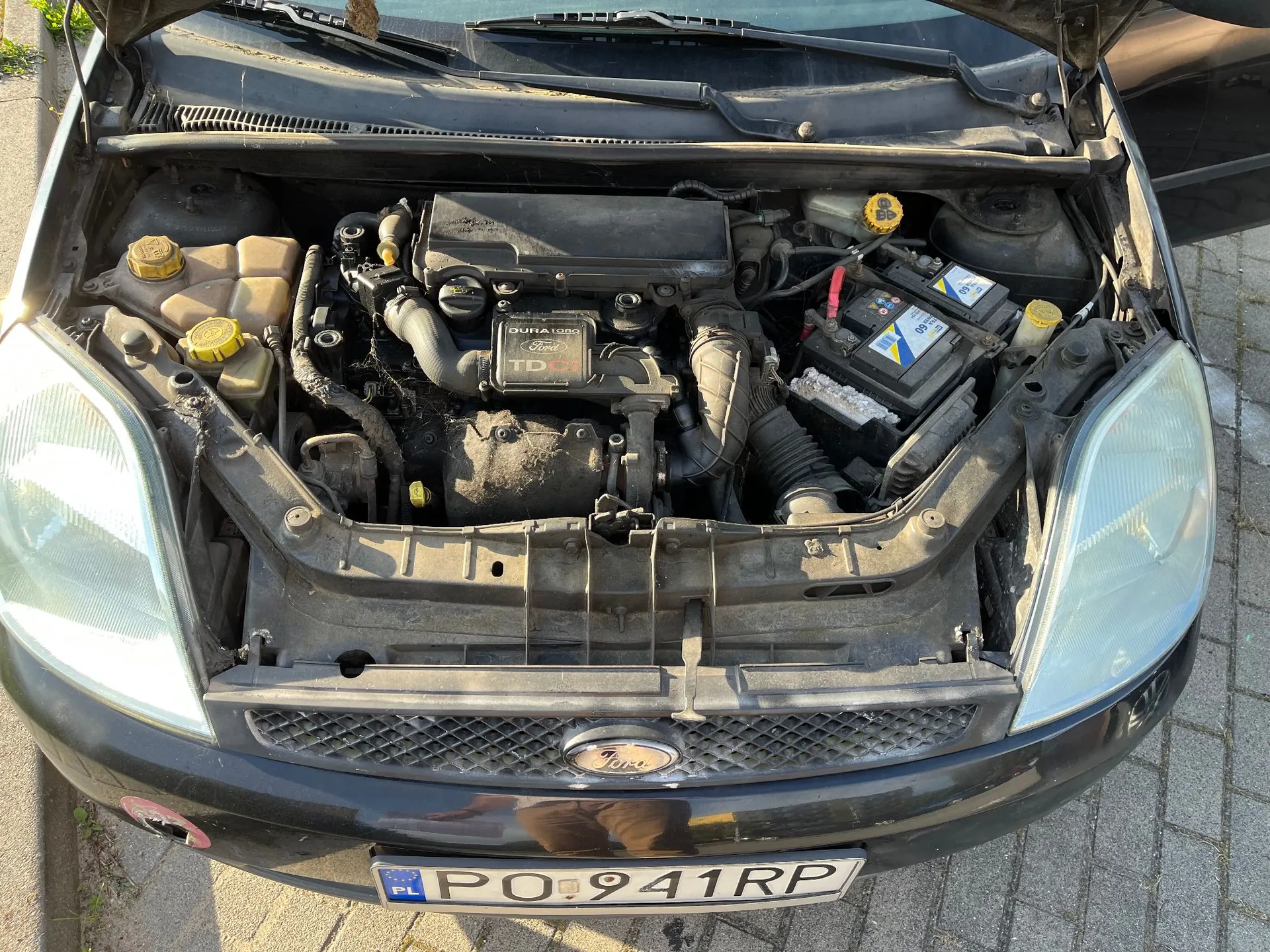 Widok z góry na otwartą maskę czarnego samochodu marki Ford, ukazującą komorę silnika. Widoczny jest silnik z napisem 'DuraTorq TDCI Ford', akumulator, zbiornik płynu chłodniczego oraz inne elementy mechaniczne. Na przodzie samochodu znajduje się logo Forda oraz tablica rejestracyjna o numerze PO 941RP.