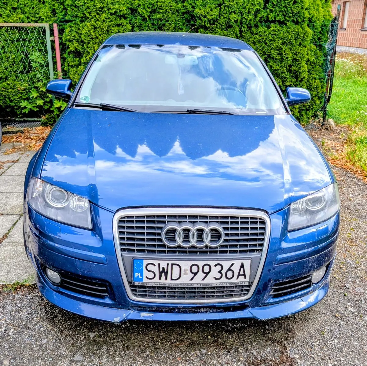 Niebieski samochód marki Audi widziany od przodu. Pojazd posiada polską tablicę rejestracyjną o numerze SWD 9936A. W tle widoczny jest zielony żywopłot oraz fragment ogrodzenia z siatki.