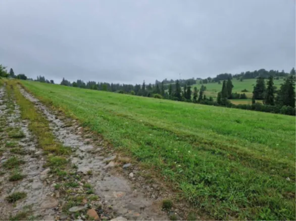Widok na zielone pole z błotnistą, kamienistą drogą po lewej stronie. W tle rozciągają się lasy i wzgórza pod pochmurnym niebem. Linia horyzontu jest pozioma, a drzewa rosną pionowo.