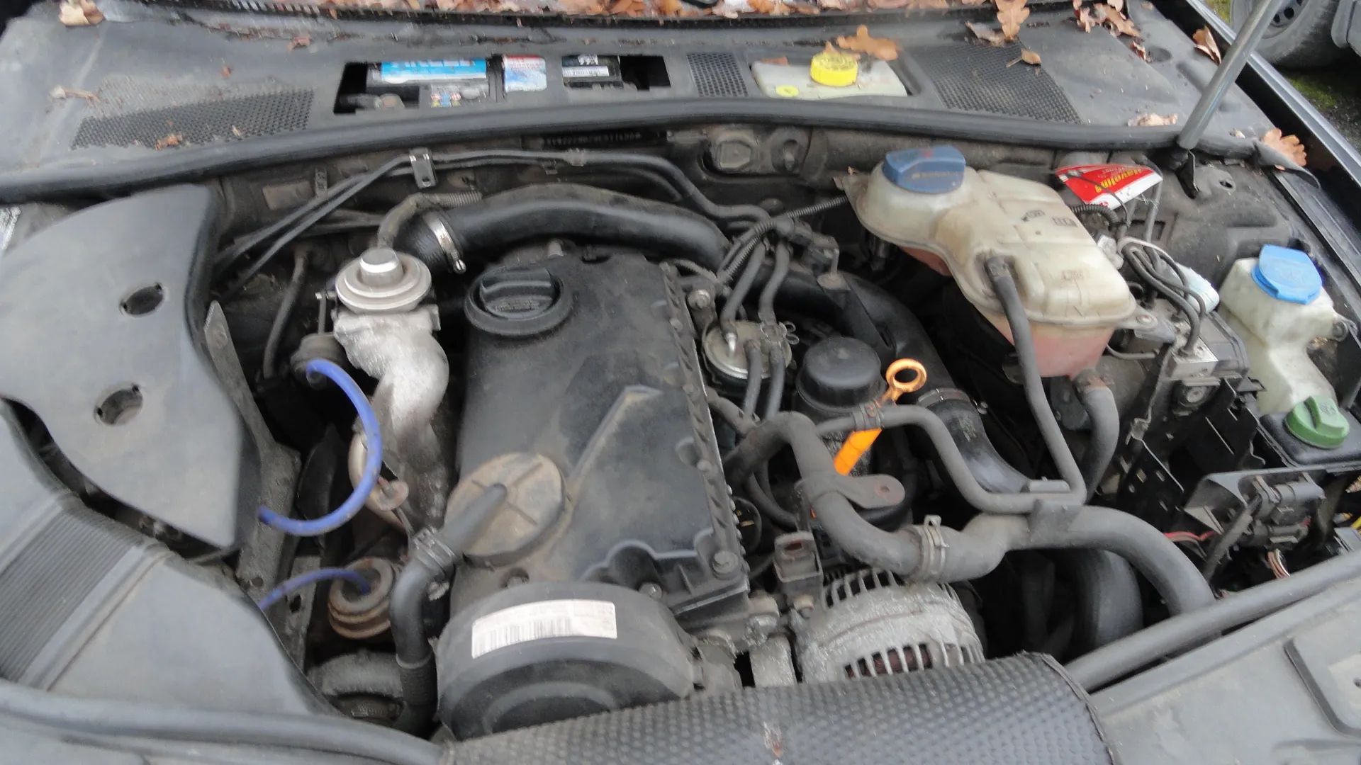 Widok na otwarty komorę silnika samochodu. Widać czarny blok silnika, różne przewody i węże, zbiornik chłodniczy z niebieską pokrywką, zbiornik oleju z żółtą pokrywką, alternator oraz pomarańczowy uchwyt miernika poziomu oleju. Na klapie silnika znajdują się suche liście. Silnik i elementy są zapylone.