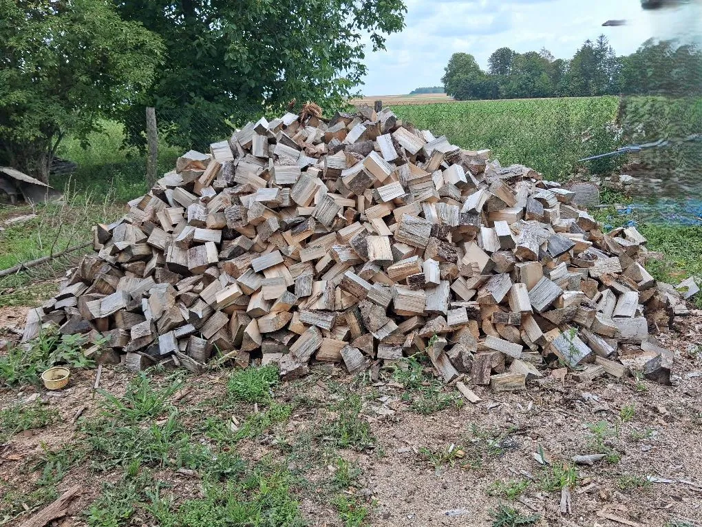 Duży stos rąbanych polan drewna opałowego ułożonych w kopiec na ziemi. W tle widoczne są zielone drzewa oraz pole uprawne pod jasnym niebem.