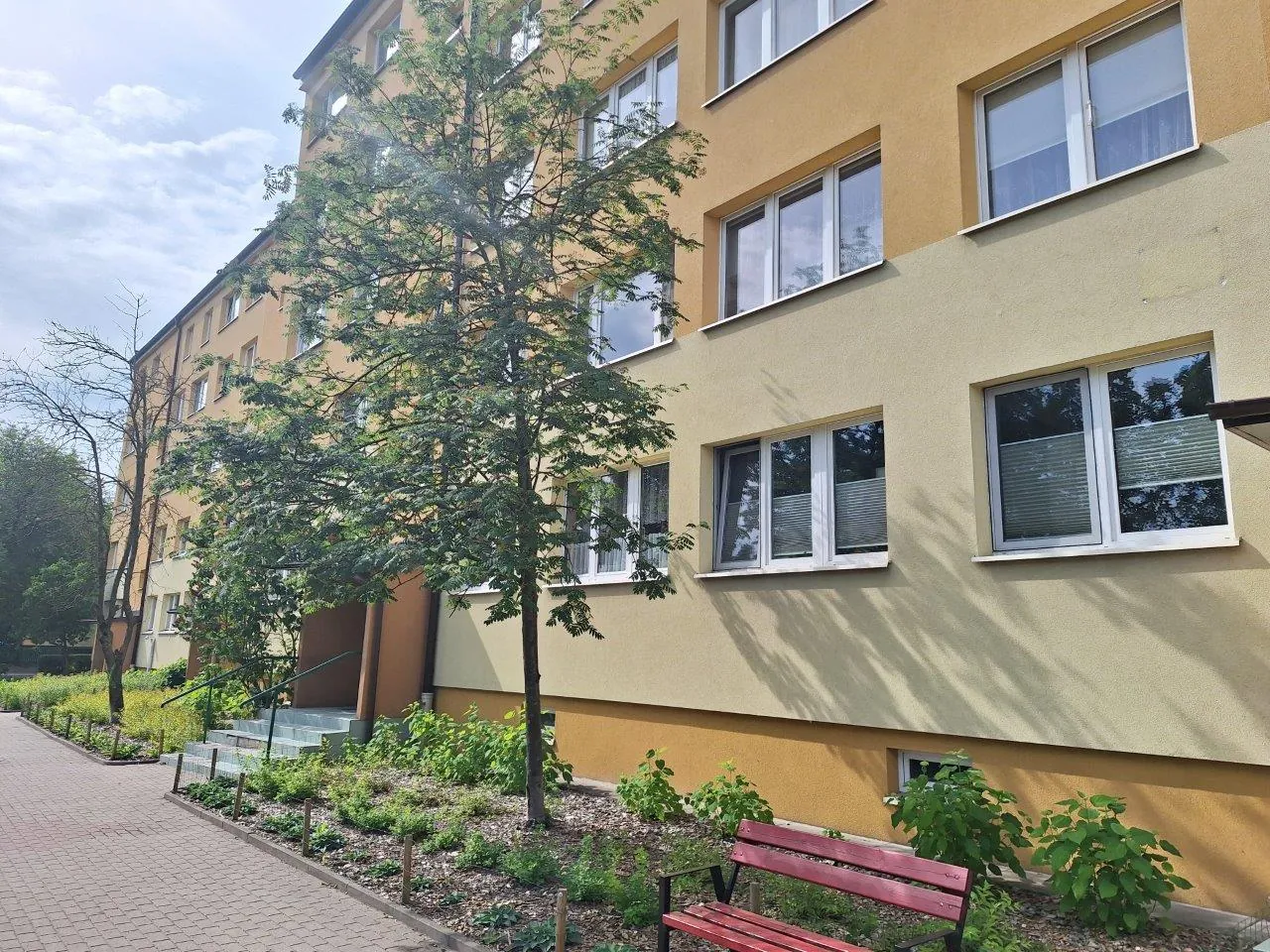 Zdjęcie przedstawia fragment wielopiętrowego budynku mieszkalnego o żółtej elewacji z białymi ramami okiennymi. Przed budynkiem rośnie wysokie, zielone drzewo liściaste oraz niskie krzewy i roślinność w pasie zieleni. Po lewej stronie znajduje się chodnik z kostki brukowej prowadzący do schodów z metalową poręczą. W prawym dolnym rogu widoczna jest czerwona ławka ogrodowa.