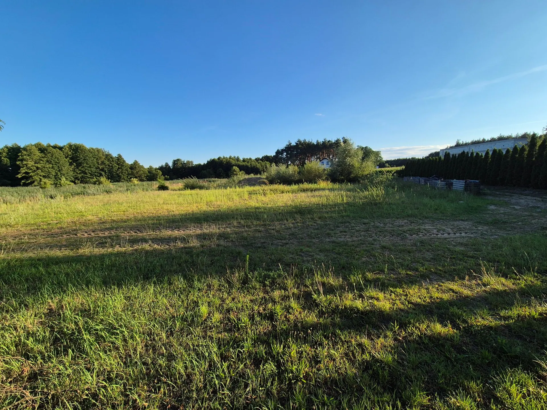 Grunt 2190 m² Sądzia - Licytacja w Lesznie - zdjęcie 1
