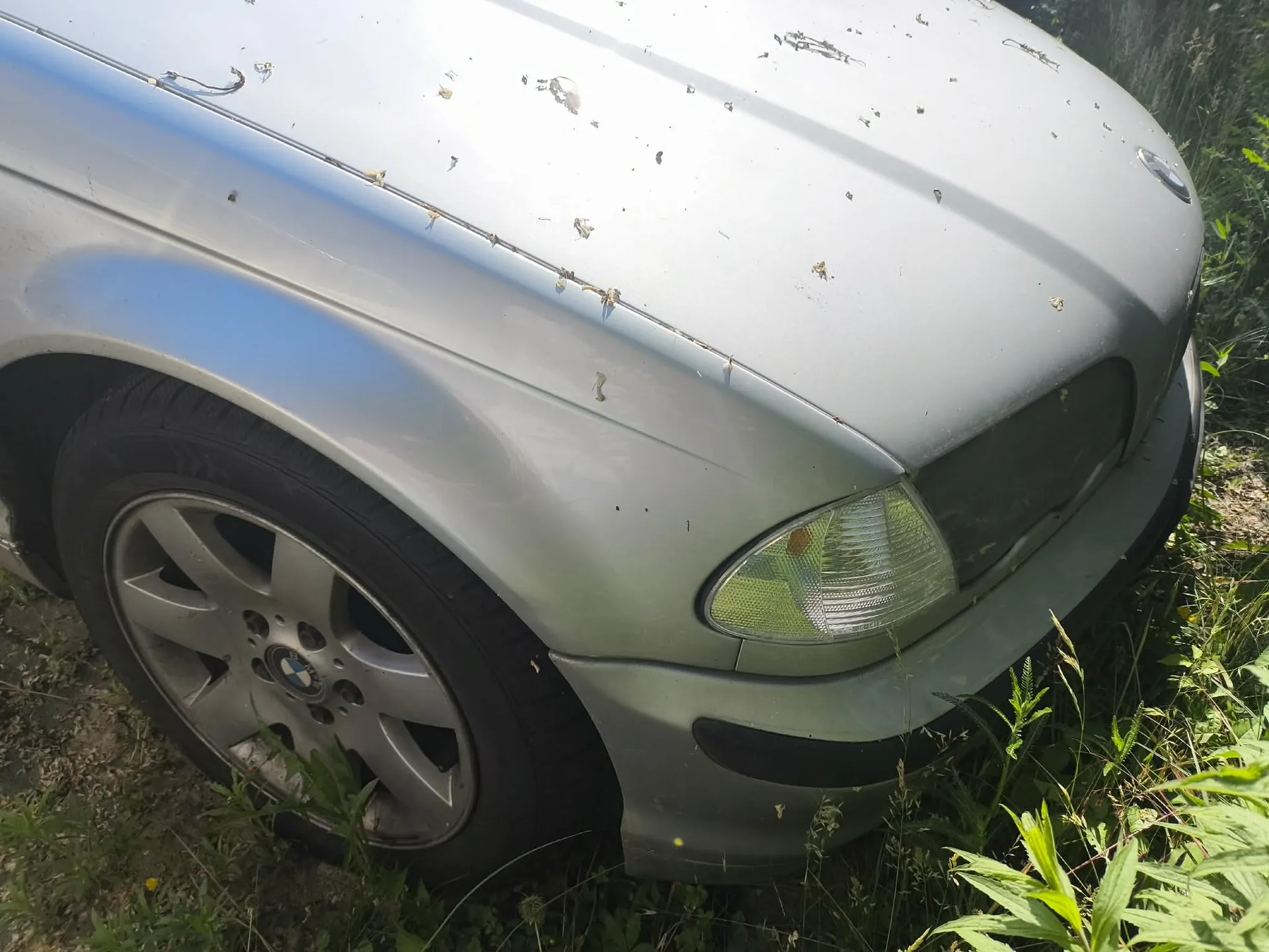 Zbliżenie na przedni prawy narożnik srebrnego samochodu marki BMW. Widoczna jest maska z licznymi drobnymi zabrudzeniami, prawy reflektor oraz przednie koło z oryginalną felgą aluminiową. Samochód stoi na trawie.