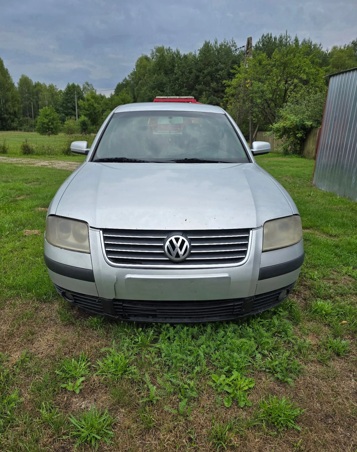 Srebrny samochód marki Volkswagen zaparkowany na trawiastym terenie. Widok z przodu, ukazujący maskę, grill z logo VW, reflektory oraz przedni zderzak. W tle widać zielone drzewa i fragment metalowego budynku pod zachmurzonym niebem.