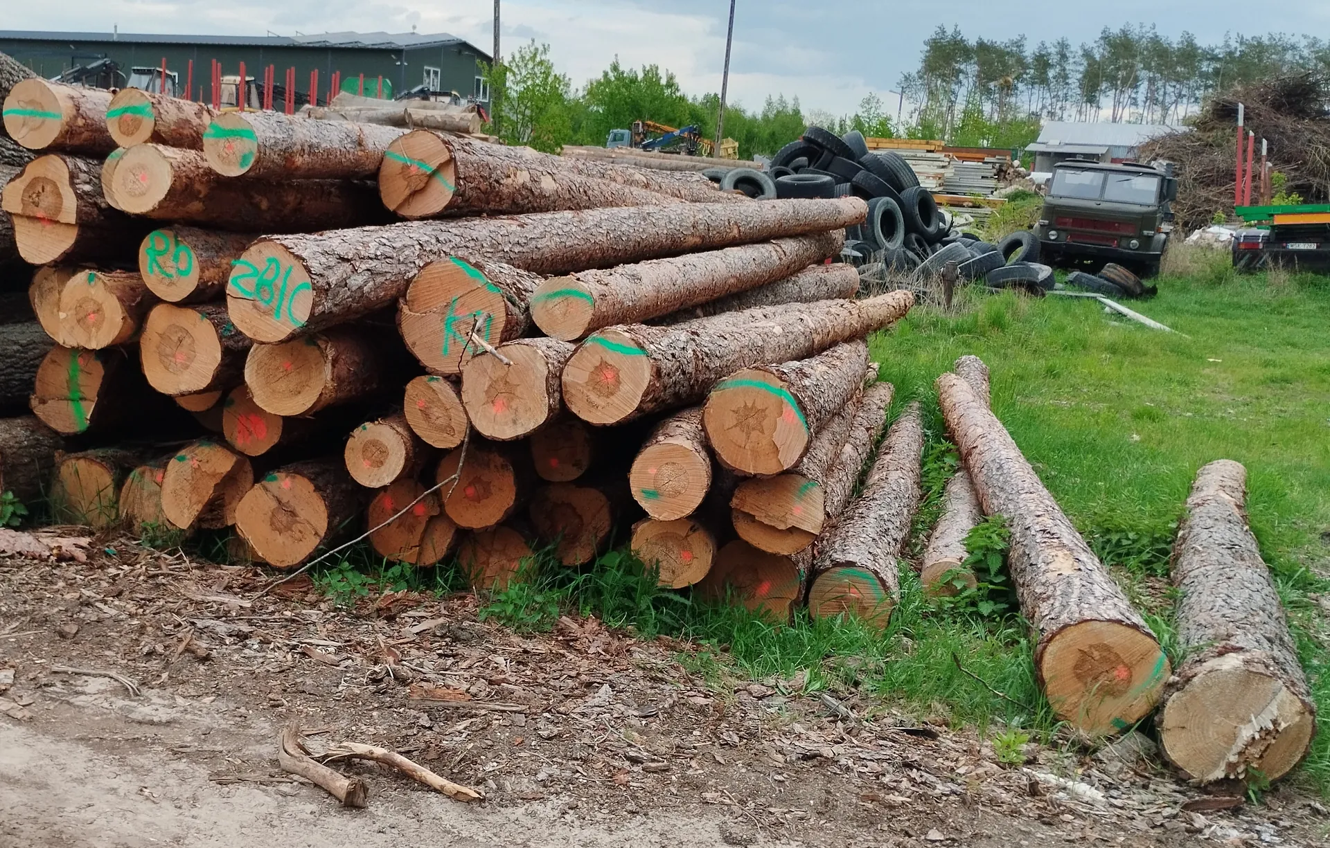 Stosy pni drzew o różnej grubości ułożone na trawie i podłożu z trocin. Na przekrojach pni widoczne są zielone i czerwone znaczniki, w tym czytelne napisy: '281C', 'R0' oraz 'K1'. W tle sterta opon, zielony samochód ciężarowy, budynek z czerwonymi słupkami oraz drzewa. Niebo częściowo zachmurzone.