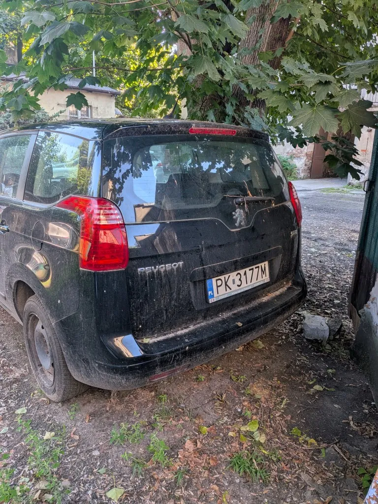 Tylny widok czarnego, zabrudzonego samochodu marki Peugeot zaparkowanego na nieutwardzonym podłożu pod drzewem. Pojazd posiada polską tablicę rejestracyjną o numerze PK 3177M.