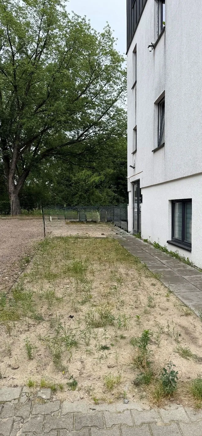 Zdjęcie przedstawia fragment terenu obok białego, nowoczesnego budynku mieszkalnego. Po prawej stronie widoczna jest biała elewacja budynku z kilkoma oknami. Przed budynkiem znajduje się wąska ścieżka z szarych płyt betonowych. Obok ścieżki rozciąga się pas piaszczystej ziemi z rzadkimi kępami niskiej, zielonej roślinności. W tle, po lewej stronie, rośnie duże, gęste drzewo liściaste, a teren jest oddzielony metalowym ogrodzeniem. Na pierwszym planie widoczny jest fragment chodnika z kostki brukowej.