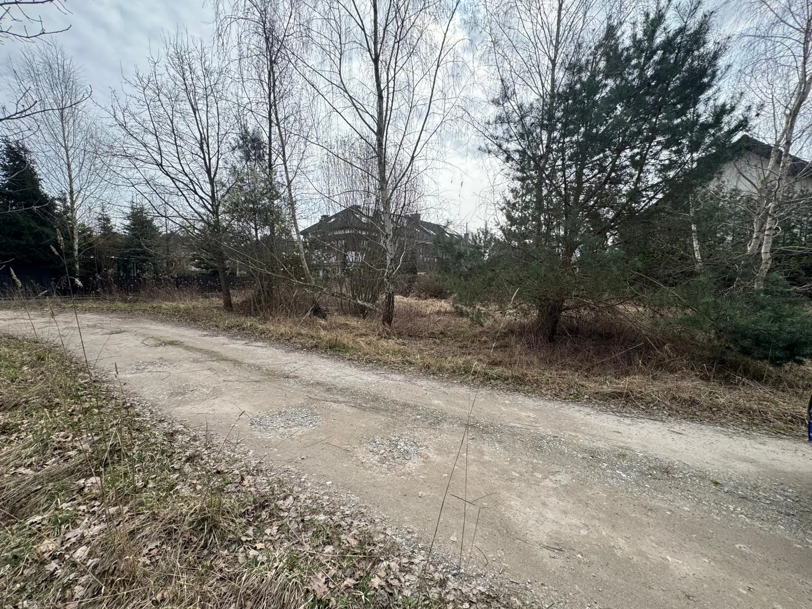Nieutwardzona, piaszczysto-żwirowa droga prowadząca przez obszar z suchą trawą i bezlistnymi drzewami. W tle, za gęstwiną krzewów i drzew, widoczny jest fragment domu z ciemną elewacją i spadzistym dachem. Niebo jest zachmurzone.