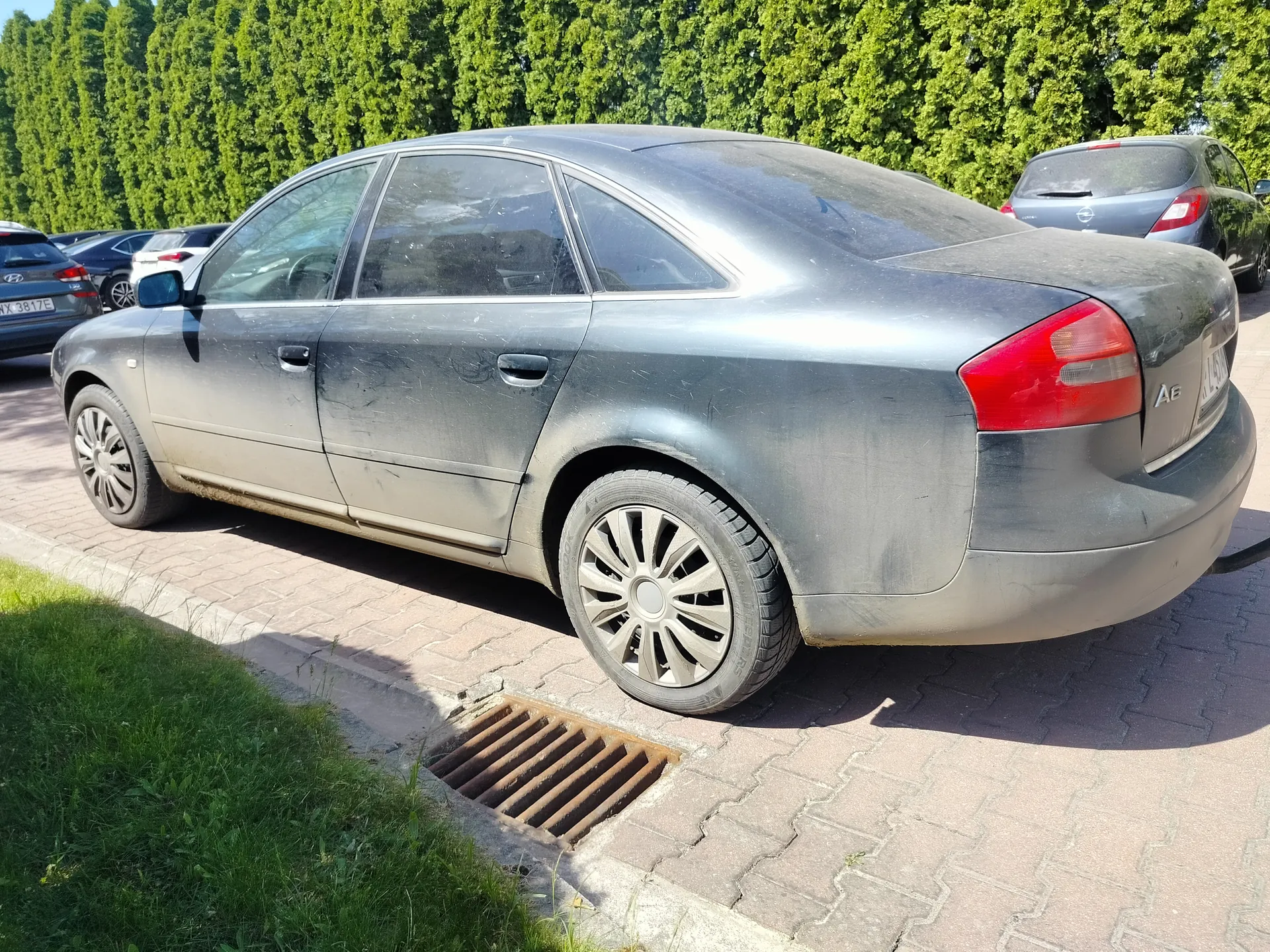Zdjęcie przedstawia szary samochód osobowy marki Audi A6 zaparkowany na brukowanym placu parkingowym. Pojazd jest zabrudzony, widoczne są ślady kurzu i brudu na karoserii. W tle znajdują się inne samochody, w tym niebieski Hyundai z czytelną tablicą rejestracyjną WX 3817E. Za pojazdami rosną gęste zielone krzewy. Na pierwszym planie widoczna jest trawa oraz metalowa studzienka kanalizacyjna. Samochód Audi ma czerwone światła tylne oraz napis A6 na bagażniku.