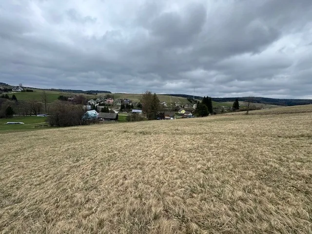 Obraz przedstawia rozległe pole z suchą trawą na pierwszym planie. W tle widoczne są domy, drzewa oraz wzgórza. Niebo jest zachmurzone, z ciężkimi szarymi chmurami. Linia horyzontu przebiega poziomo, a całość krajobrazu jest ułożona naturalnie.
