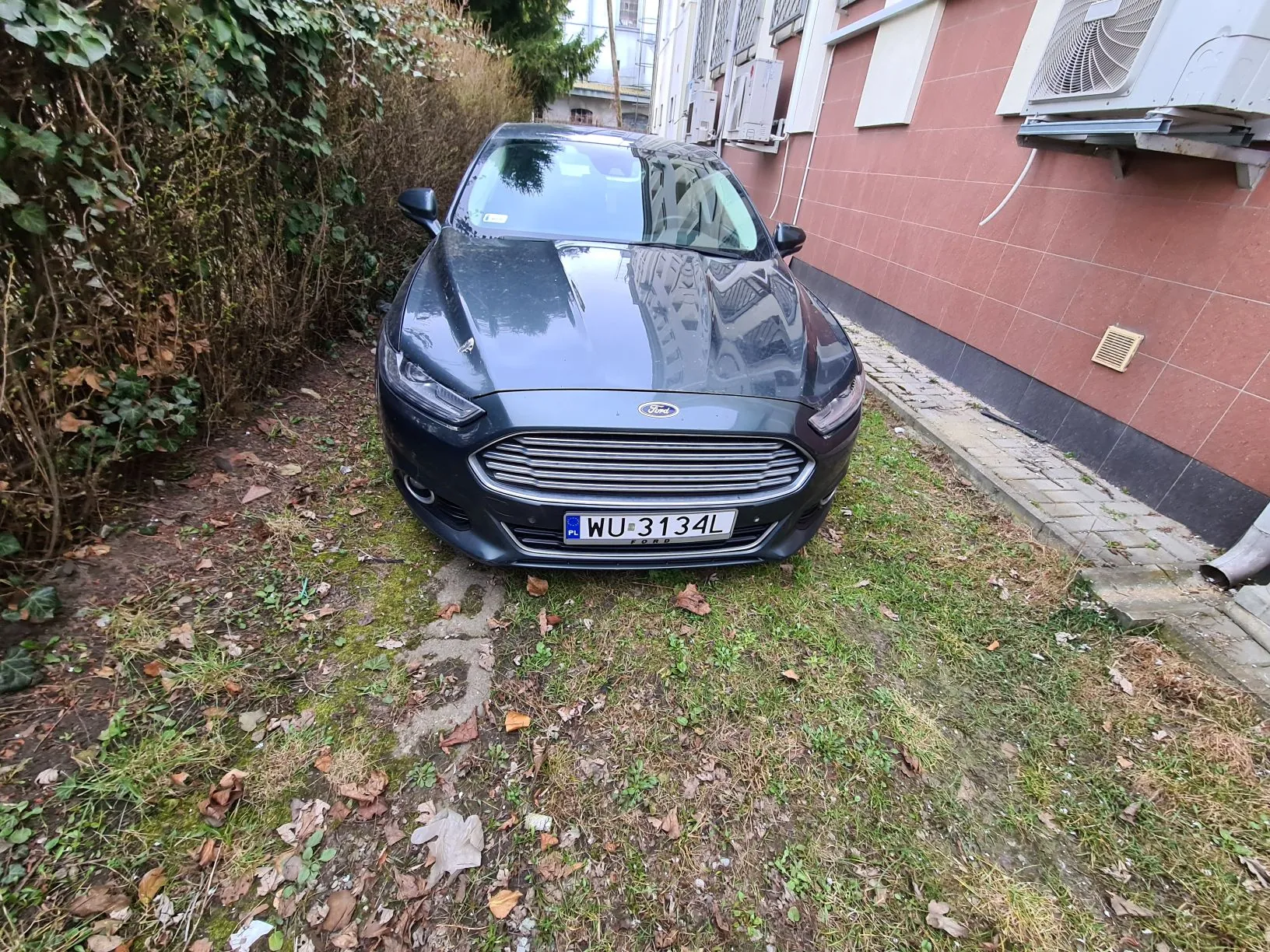 Ciemnoszary samochód marki Ford zaparkowany na trawie z widoczną tablicą rejestracyjną WU 3134L z flagą PL. Po lewej stronie krzewy i pnącza, po prawej ceglana ściana budynku z klimatyzatorami. Trawa jest poszarpana, z rozrzuconymi suchymi liśćmi i plamami ziemi.