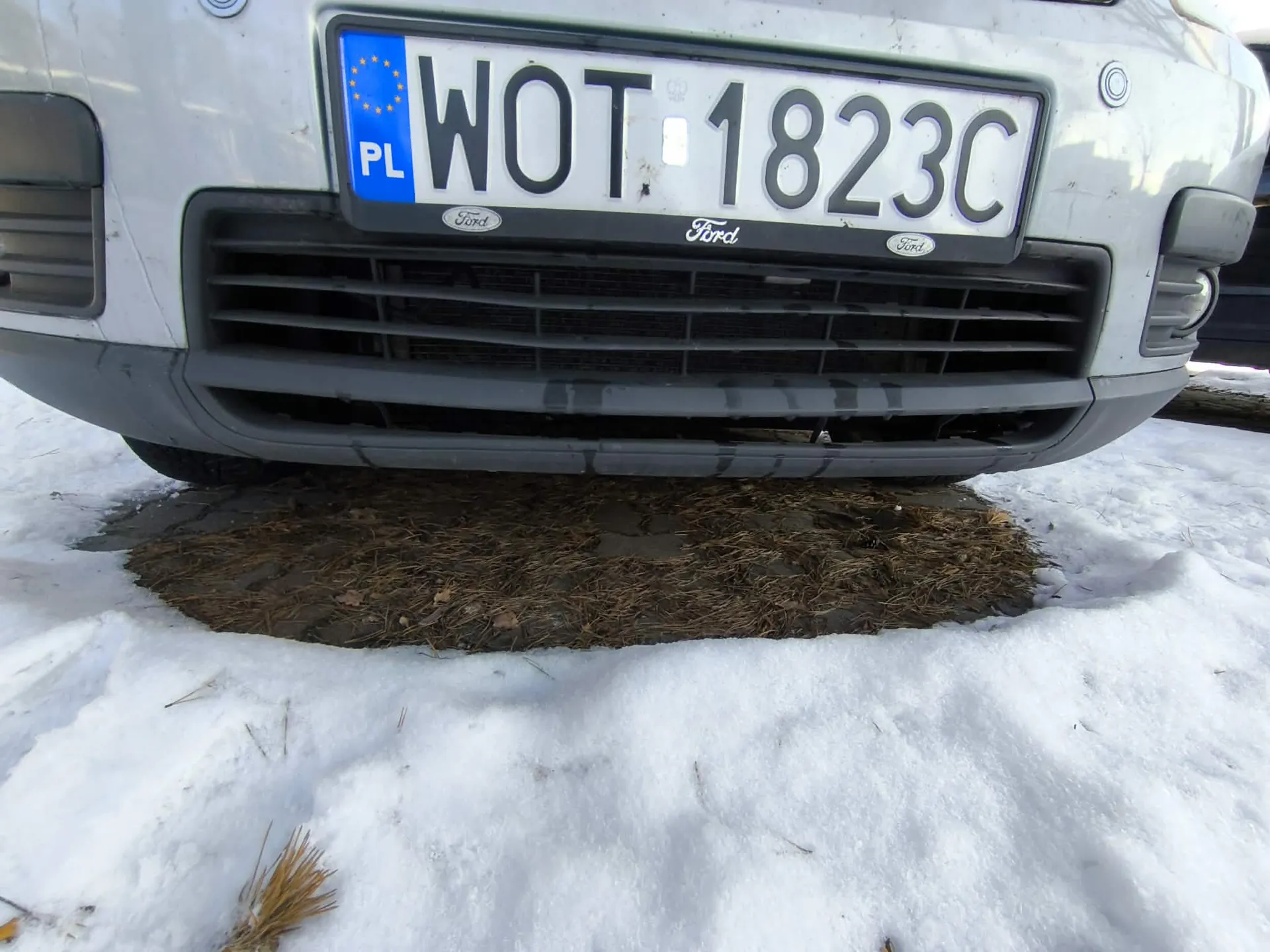 Przednia część białego samochodu marki Ford z tablicą rejestracyjną PL WOT 1823C. Tablica ma niebieski pasek z żółtymi gwiazdkami i napisem PL po lewej stronie. Poniżej tablicy widoczne są trzy logo Ford. Samochód stoi na śniegu, częściowo odsłoniętej nawierzchni z suchą trawą i igłami. Widoczne są również elementy pasa przedniego, w tym chłodnica i reflektory.