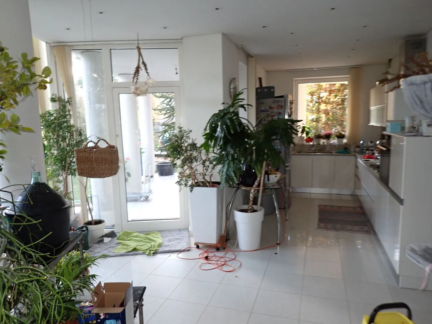 Jasne, nowoczesne wnętrze pomieszczenia łączącego salon z kuchnią. W pomieszczeniu znajduje się wiele roślin doniczkowych, w tym duże rośliny w białych donicach stojące przy oknie i ścianie. Po lewej stronie widoczny jest czarny kosz oraz wiklinowy kosz wiszący. W tle znajduje się biała zabudowa kuchenna z blatem i oknem, przez które wpada światło. Na białej kafelkowej podłodze leży zielona szmatka oraz widoczne są pomarańczowe kable.