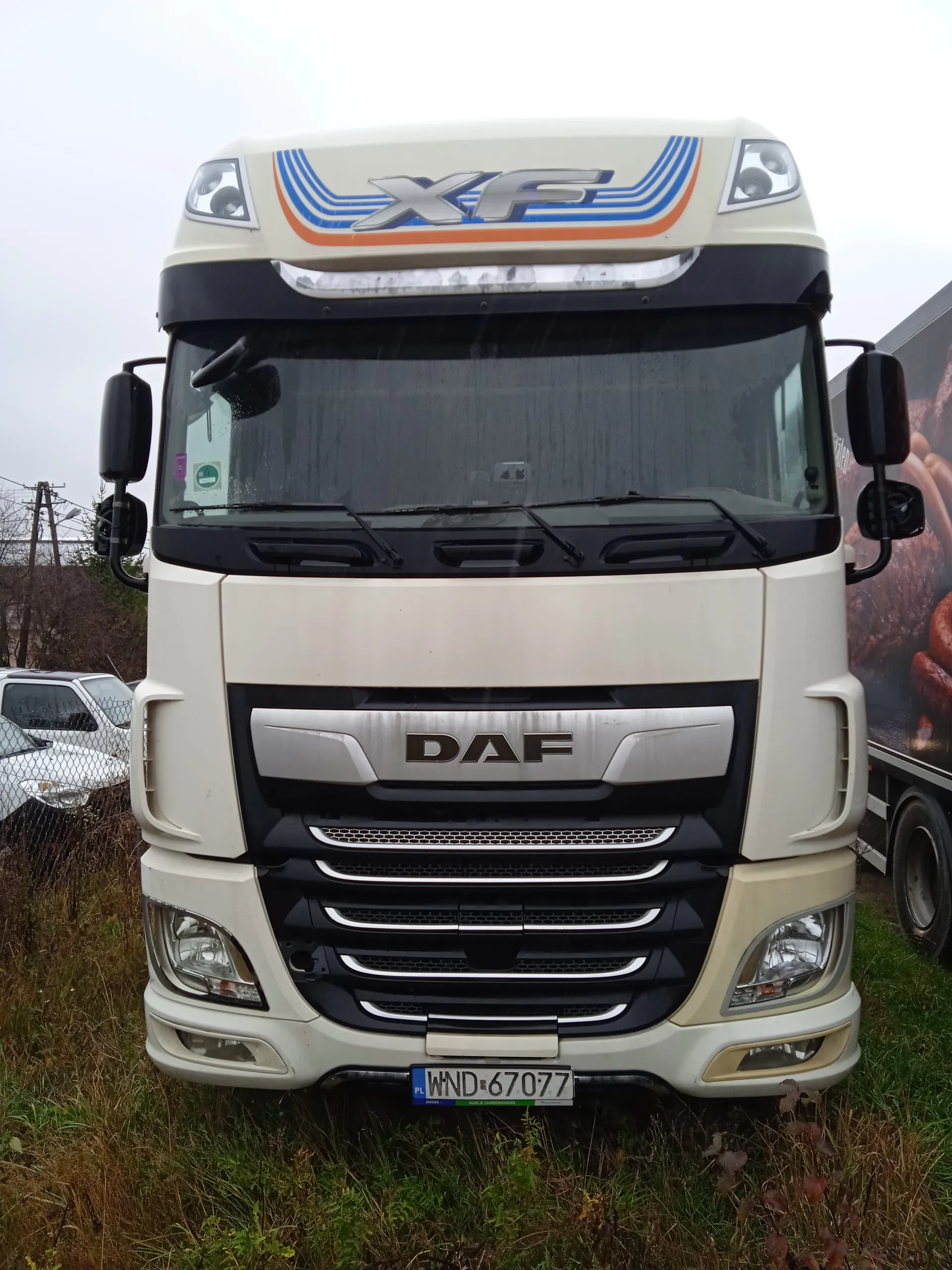 Biały ciężarówka DAF XF z niebiesko-pomarańczowymi pasami na dachu, tablicą rejestracyjną WND-67077. Widoczne reflektory, lusterka boczne, siatka chłodnicy i przednie szyby. Tło: trawa, ogrodzenie, inne pojazdy i ciężarówka z nadrukiem. Pogoda pochmurna.
