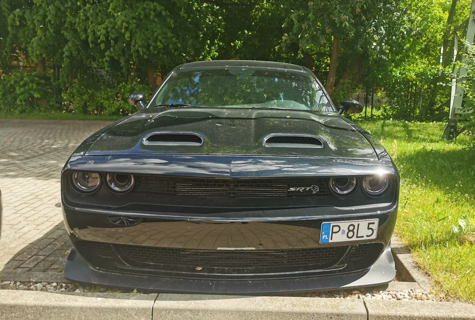 Czarny samochód sportowy Dodge Challenger SRT zaparkowany przodem do obiektywu na kostce brukowej. Auto posiada dwa wloty powietrza na masce, charakterystyczne podwójne reflektory z każdej strony oraz napis SRT na grillu. Na przednim zderzaku znajduje się polska tablica rejestracyjna o numerze P 8L5. W tle widoczne są zielone drzewa i trawnik.