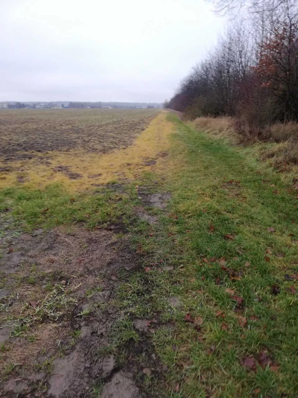Krajobraz wiejski przedstawiający błotnistą drogę polną biegnącą wzdłuż pola uprawnego. Po lewej stronie znajduje się ciemna, orana ziemia, a po prawej pas zielonej trawy i linia bezlistnych drzew oraz krzewów. Niebo jest zachmurzone i jasne.
