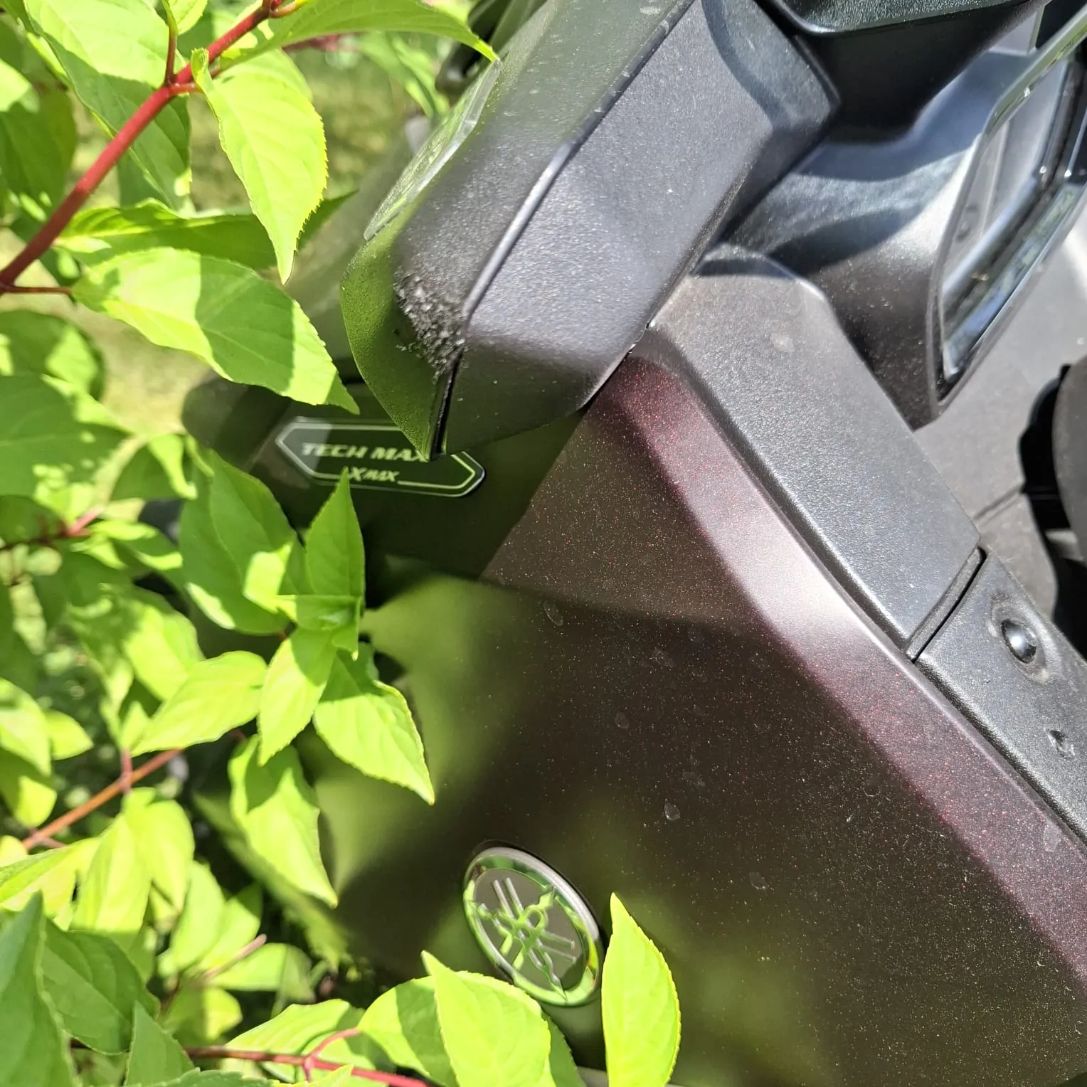 Zbliżenie na czarną, plastikową obudowę motocykla, na której widnieje napis 'TECH MAX' oraz okrągłe logo marki Yamaha. Obudowa jest częściowo przysłonięta przez zielone liście rośliny o czerwonych łodygach.