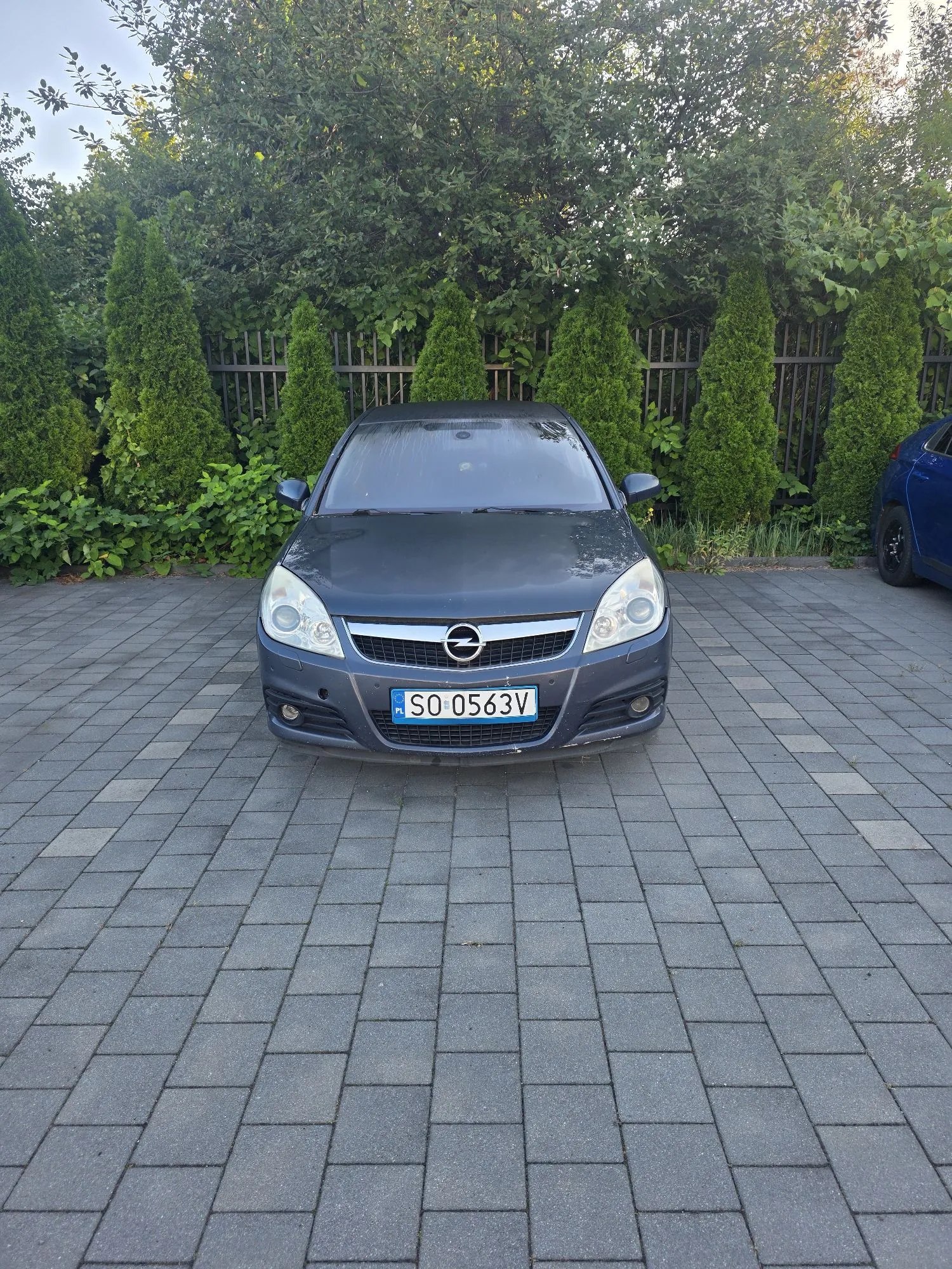 Szary samochód marki Opel zaparkowany przodem na kostce brukowej. Pojazd posiada polską tablicę rejestracyjną o numerze SO 0563V. W tle znajduje się gęsty żywopłot z wysokich, wąskich drzew iglastych oraz ciemny płot. Po prawej stronie widoczny jest fragment niebieskiego samochodu.
