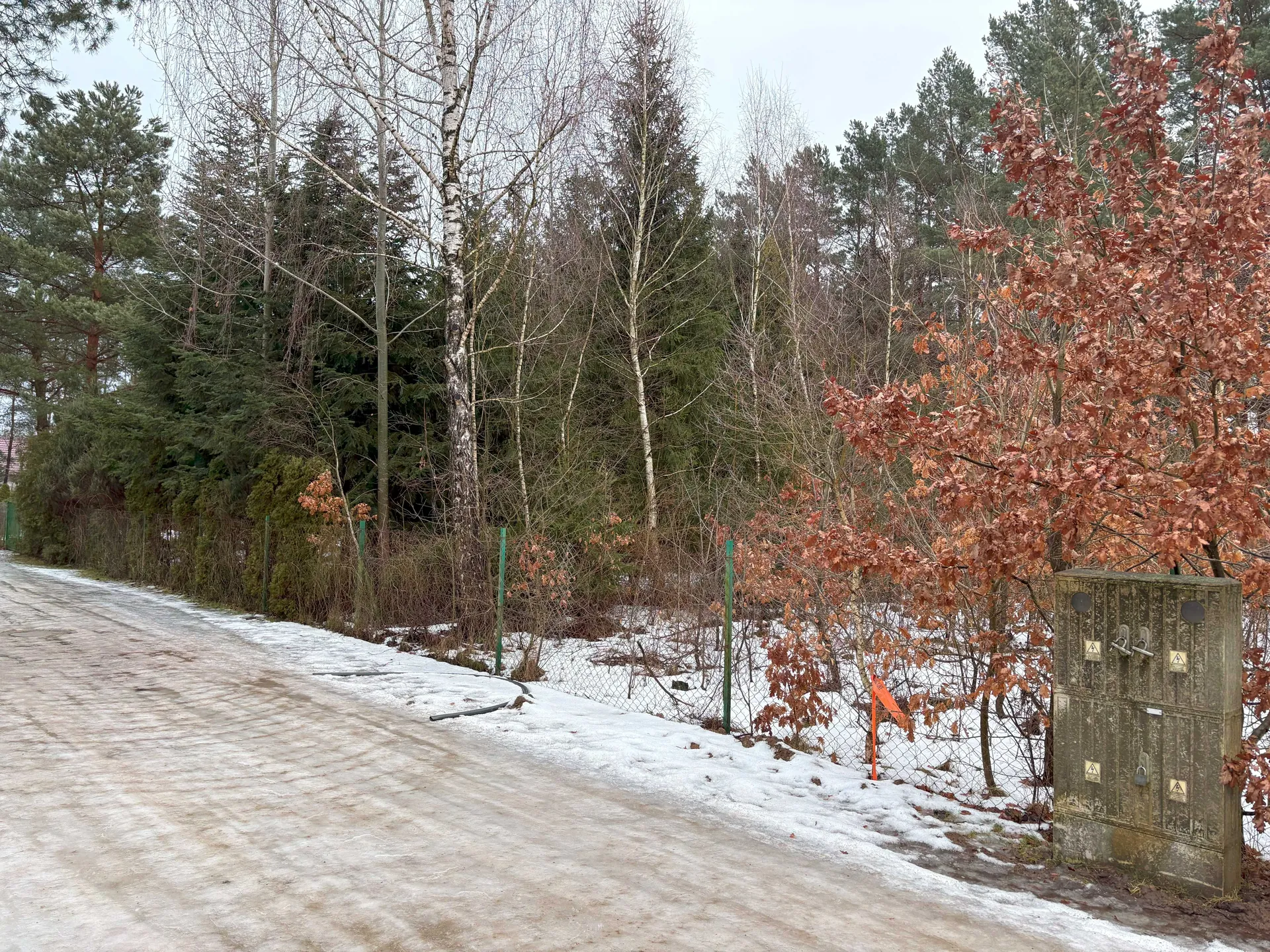Zimowy krajobraz z zamarzniętą drogą po lewej stronie, częściowo pokrytą śniegiem. Po prawej stronie widoczny jest zielony ogrodzenie z siatką, za którym rosną drzewa – niektóre bez liści, inne z brązowymi liśćmi oraz iglaste. W prawym dolnym rogu znajduje się stary, zielony metalowy pojemnik z symbolami ostrzegawczymi i kłódką. Na tle drzew widoczne są zimowe niebo oraz pomarańczowy znak ostrzegawczy przy ogrodzeniu.