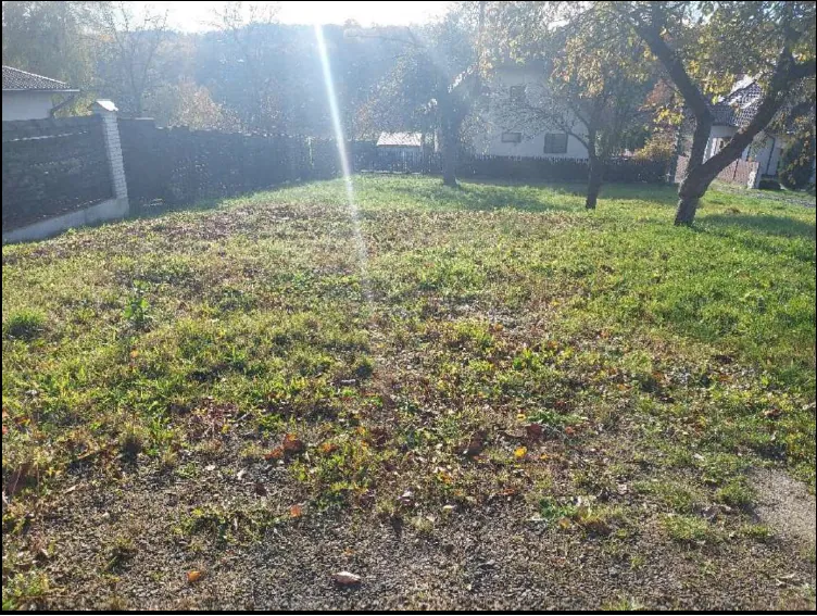 Zdjęcie przedstawia trawnik z rozrzuconymi suchymi liśćmi, otoczony ogrodzeniem z cegły i siatki. W tle widoczne są domy, drzewa oraz słońce świecące od góry, tworzące efekt soczewki. Trawa jest częściowo zielona, częściowo sucha, a na ziemi leżą opadłe liście. Po lewej stronie znajduje się fragment białego budynku z czerwonym dachem.