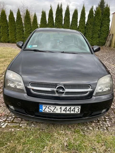 Czarny samochód marki Opel z przodu, z widoczną tablicą rejestracyjną ZSZ 14443 z kodem PL. Samochód stoi na podjeździe z kamieni, na tle rzędu wysokich, wąskich drzew iglastych i drewnianego budynku po prawej stronie. Niebo jest zachmurzone, a na pierwszym planie widoczna jest trawa.