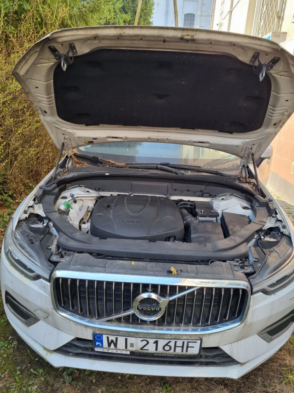 Biały samochód marki Volvo z otwartą maską, ukazujący komorę silnika. Widoczna tablica rejestracyjna z polskim kodem PL i numerem WI 216HF. Na masce umieszczony jest logo Volvo, a pokrywa silnika ma napis VOLVO. Samochód stoi na trawie, w tle budynki i zieleń. Wnętrze maski jest czarne, a na częściach pojazdu widoczny jest brud.