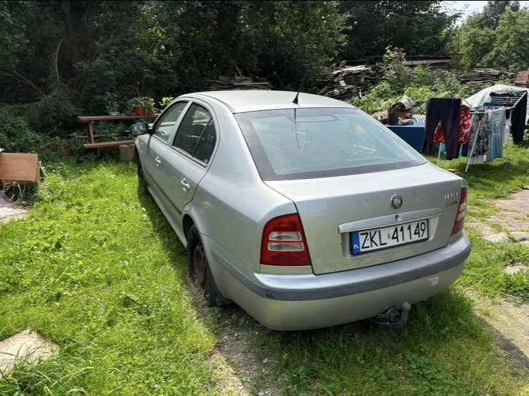 Srebrny samochód osobowy marki MG zaparkowany na trawiastym podjeździe. Widoczny jest tył i lewy bok pojazdu. Samochód posiada polską tablicę rejestracyjną o numerze ZKL 41149. W tle znajdują się gęste zielone krzewy, drzewa oraz sterta materiałów budowlanych i ubrania wiszące na suszarce.