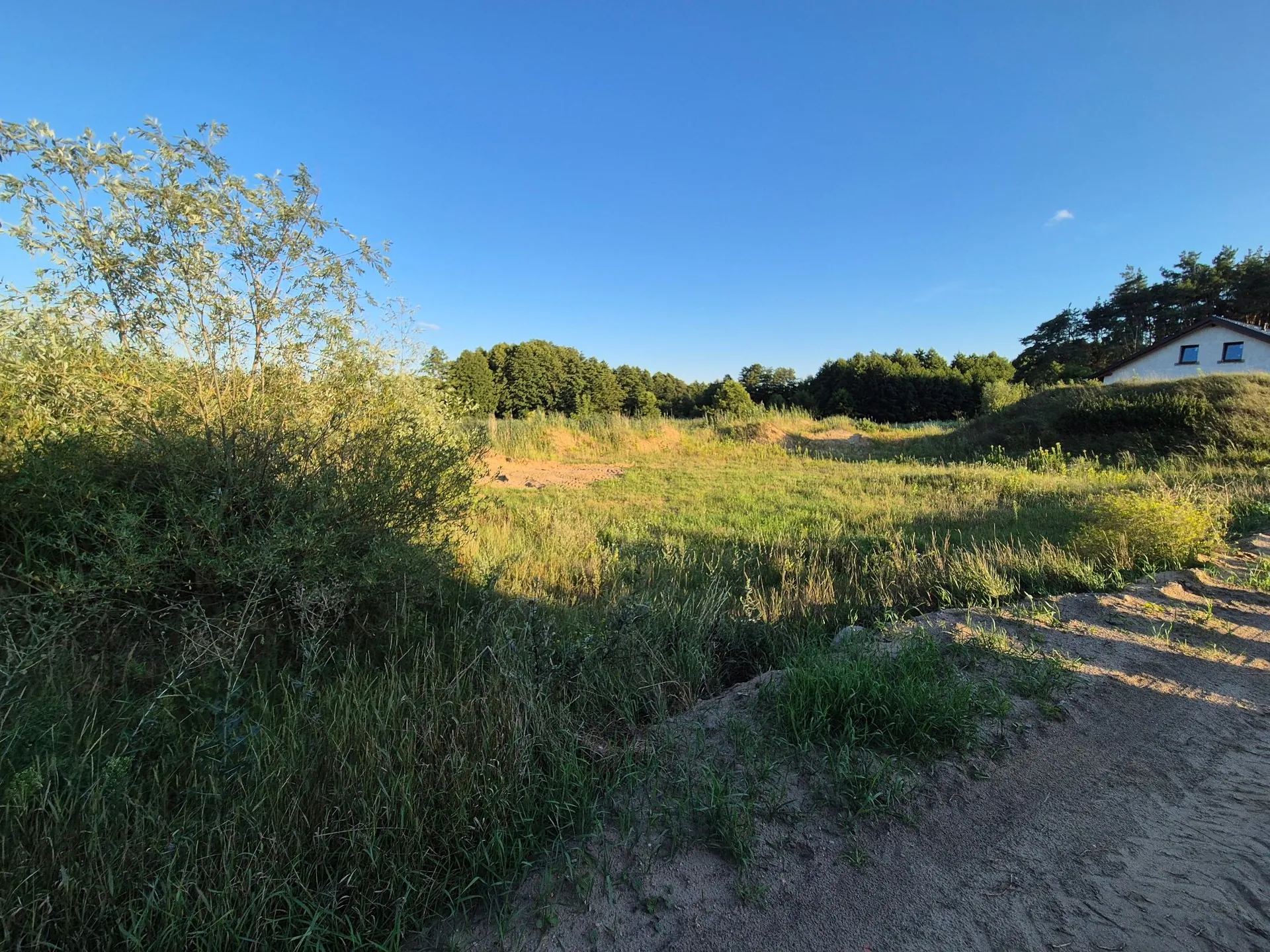 Grunt 2190 m² Sądzia - Licytacja w Lesznie - zdjęcie 6