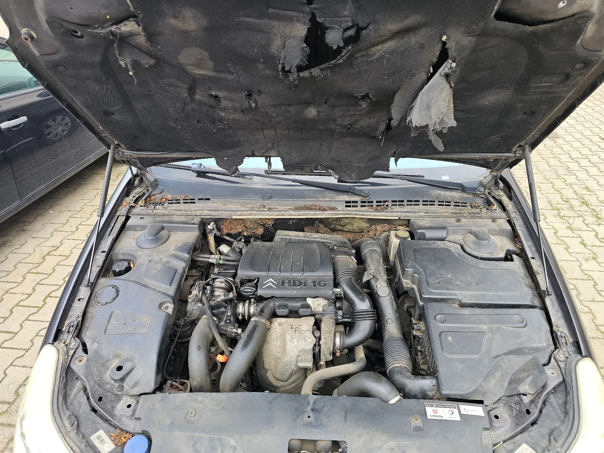 Widok z góry na otwartą maskę samochodu, odsłaniającą silnik. Na plastikowej osłonie silnika widoczne jest logo marki Citroën oraz napis 'HDi 16'. Komora silnika jest zakurzona, a wewnętrzna strona maski posiada liczne rozdarcia i ubytki w czarnym materiale izolacyjnym.
