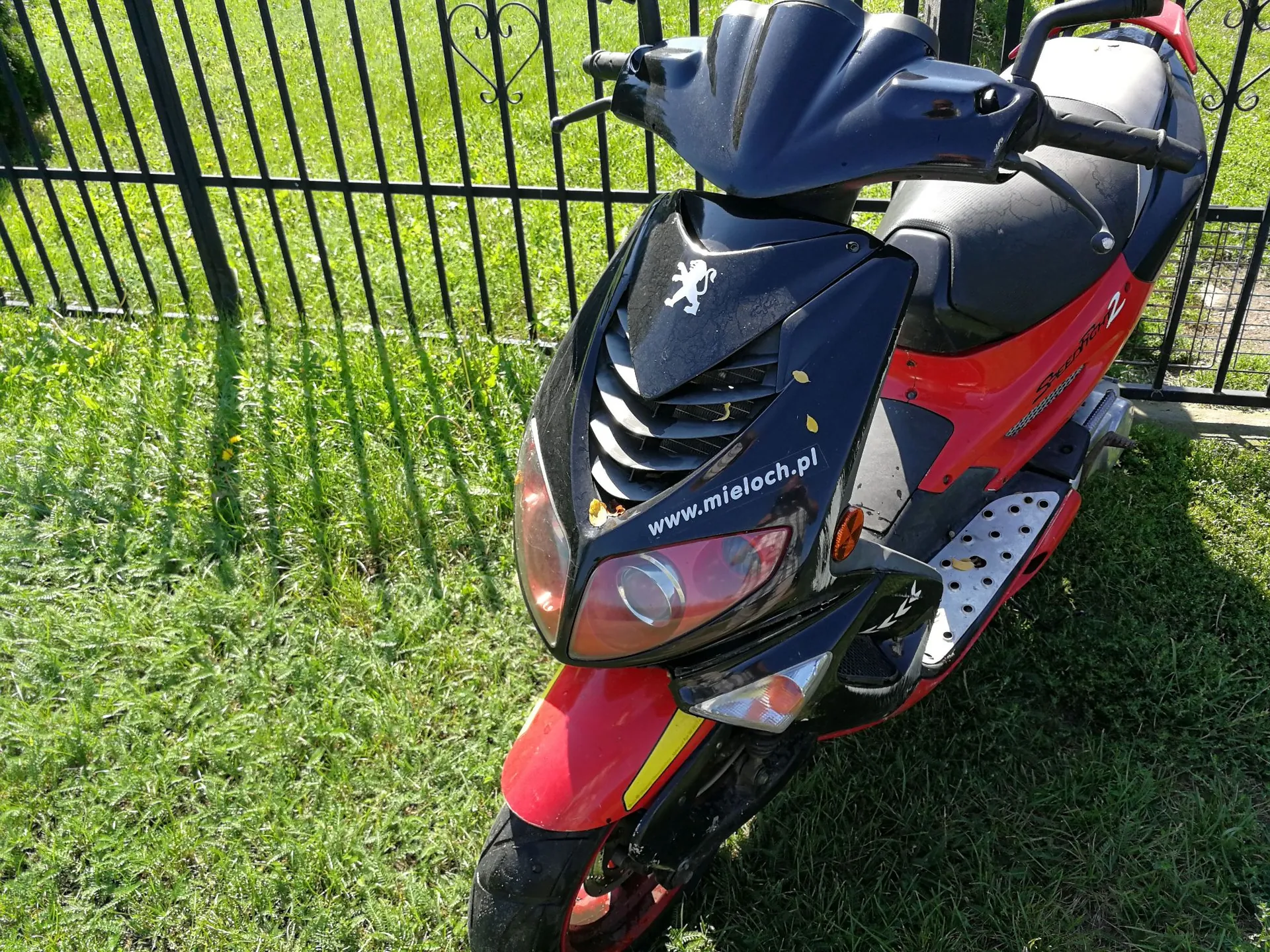 Czerwono-czarny skuter zaparkowany na zielonej trawie przed czarnym metalowym ogrodzeniem. Na przedniej czarnej owiewce znajduje się logo marki Peugeot oraz biały napis 'www.mieloch.pl'.