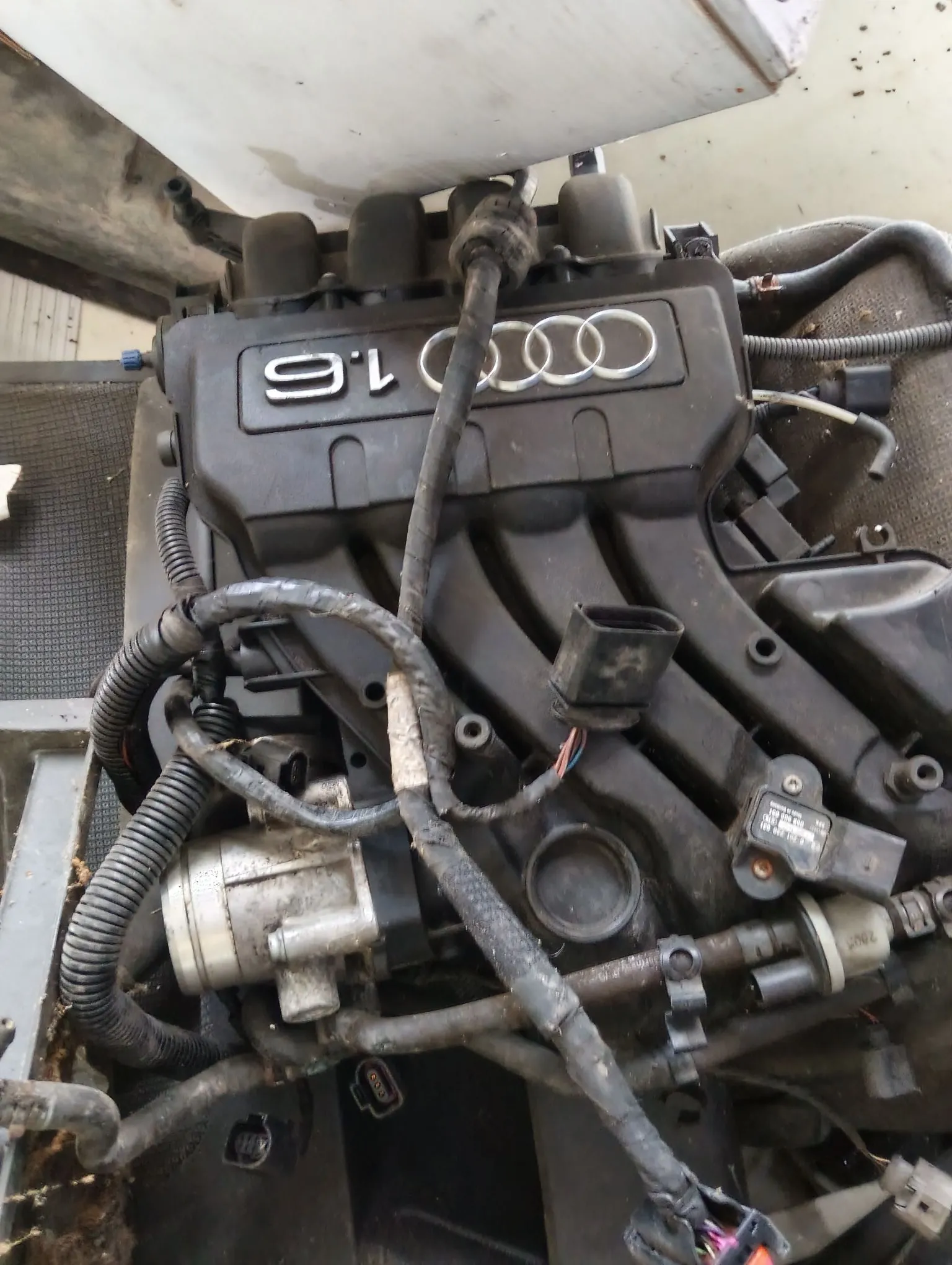 Zbliżenie na silnik samochodowy marki Audi o pojemności 1.6. Widoczna jest czarna plastikowa osłona silnika z napisem '1.6' oraz logo Audi w postaci czterech splecionych pierścieni. Wokół silnika znajduje się gęsta sieć przewodów elektrycznych w czarnych peszlach oraz rurki. Całość jest zakurzona i wygląda na zdemontowaną lub znajdującą się w warsztacie.