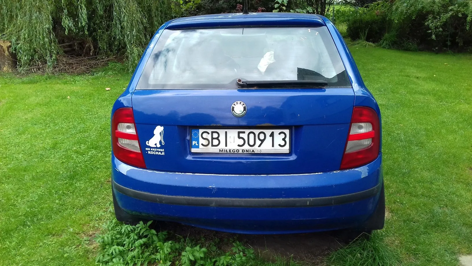 Tylny widok niebieskiego samochodu osobowego zaparkowanego na zielonej trawie. Pojazd posiada polską tablicę rejestracyjną o numerze SBI 50913 z napisem „MIŁEGO DNIA :)” na ramce. Po lewej stronie tablicy znajduje się biała naklejka z sylwetką osoby i napisem „NIA KOSZALIN”. W tle widoczne są zielone drzewa i krzewy.
