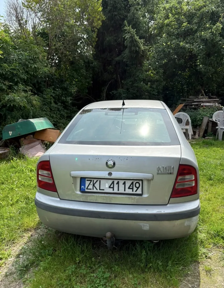 Tylny widok srebrnego samochodu marki Skoda Octavia zaparkowanego na trawie. Na samochodzie widoczna jest polska tablica rejestracyjna o numerze ZKL 41149. W tle znajdują się gęste zielone drzewa i krzewy oraz białe plastikowe krzesła ogrodowe.
