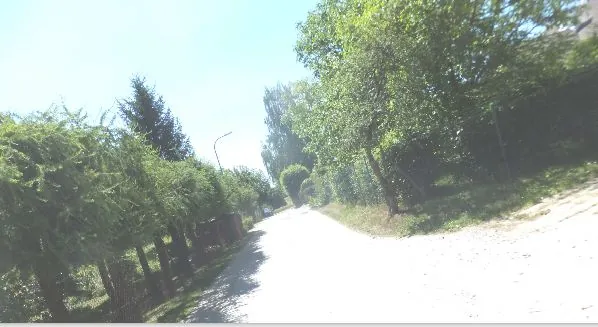 Jasna, piaszczysta droga prowadząca w głąb obrazu, otoczona z obu stron gęstą roślinnością. Po lewej stronie znajduje się rząd przystrzyżonych, zielonych krzewów i drzew iglastych, a po prawej stronie wysokie, liściaste drzewa rzucające cień na pobocze. W tle widoczna jest latarnia uliczna oraz jasne, bezchmurne niebo.