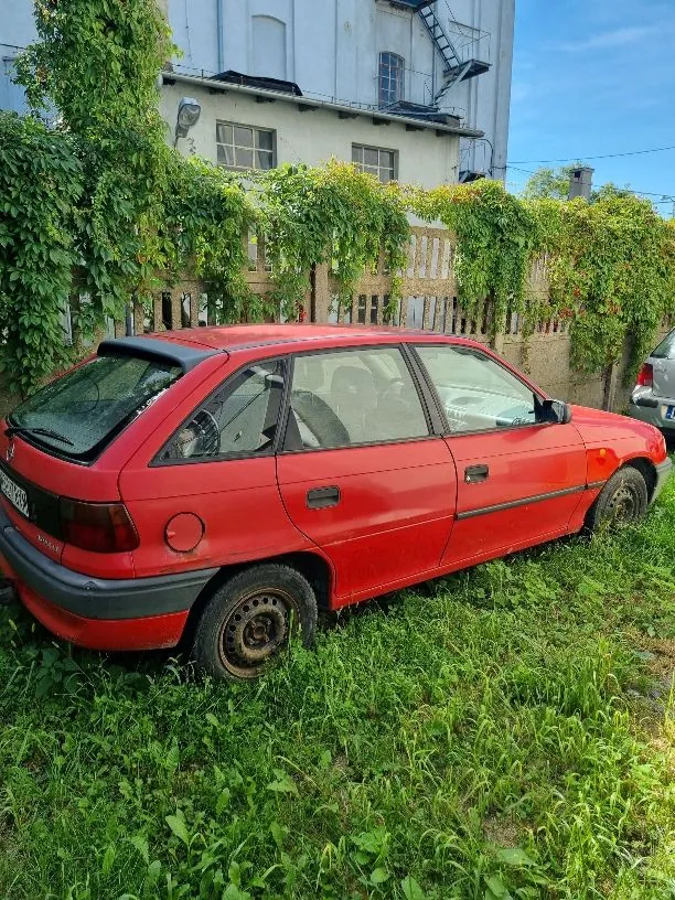 Czerwony samochód osobowy typu hatchback zaparkowany na trawiastym terenie. Pojazd jest ustawiony bokiem, widoczna jest jego lewa strona i tył. W tle znajduje się jasny budynek z oknami i schodami przeciwpożarowymi oraz drewniany płot gęsto porośnięty zielonymi pnączami.