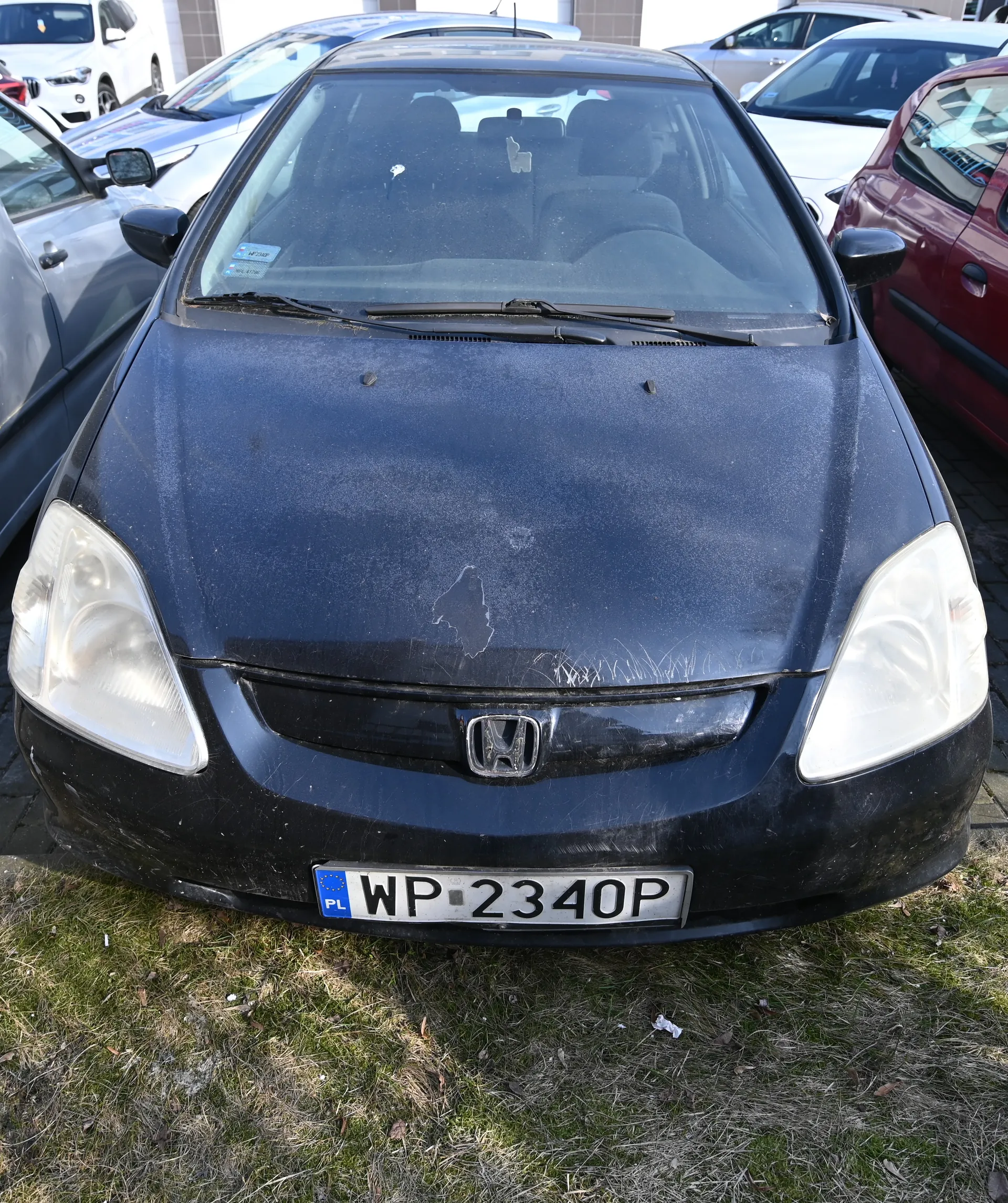 Czarny samochód marki Honda z tablicą rejestracyjną WP-2340P (PL) zaparkowany na trawie. Na masce widoczne są zadrapania i zabrudzenia. W tle inne pojazdy: czerwony, srebrny i biały. Samochód ma logo Hondy na masce, reflektory i przednią szybę z wycieraczkami. Trawa pod samochodem jest częściowo wyschnięta.