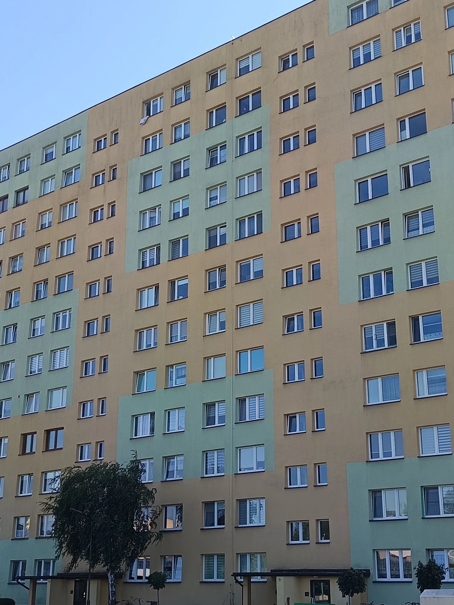 Elewacja wielopiętrowego bloku mieszkalnego w kolorach żółtym i jasnozielonym. Budynek posiada liczne, regularnie rozmieszczone białe okna. W lewym dolnym rogu widoczne jest zielone drzewo, a przy ziemi kilka mniejszych krzewów.