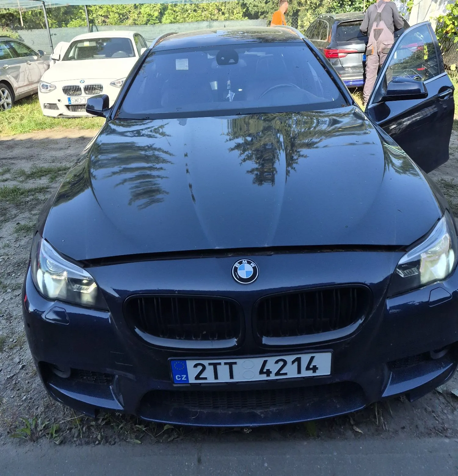 Widok z przodu ciemnoniebieskiego samochodu marki BMW zaparkowanego na zewnątrz. Na masce widoczne są odbicia drzew. Samochód ma czeską tablicę rejestracyjną o numerze 2TT 4214. W tle widoczne są inne zaparkowane samochody oraz zieleń.