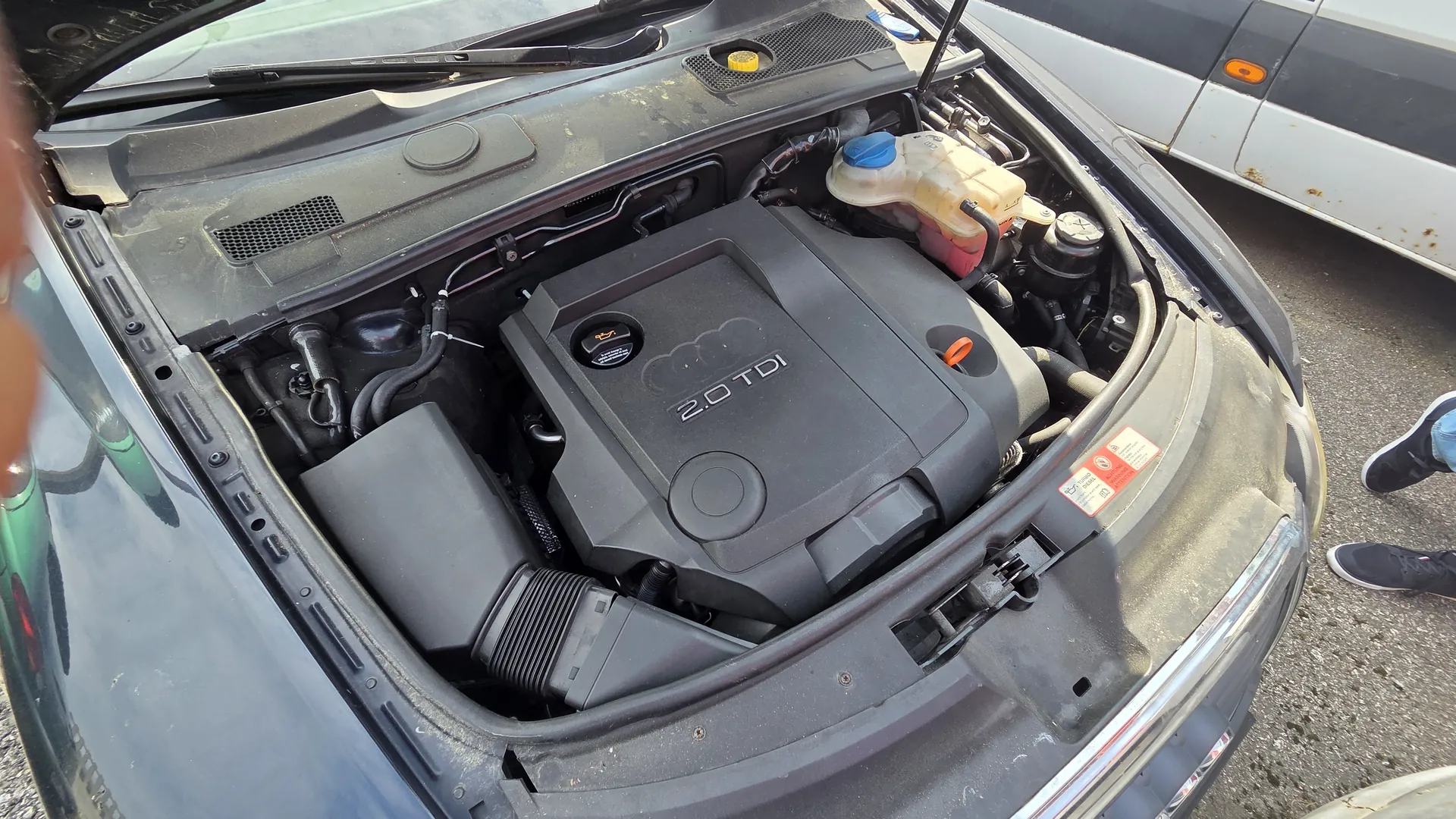 Audi A6 2005 - zdjęcie 6