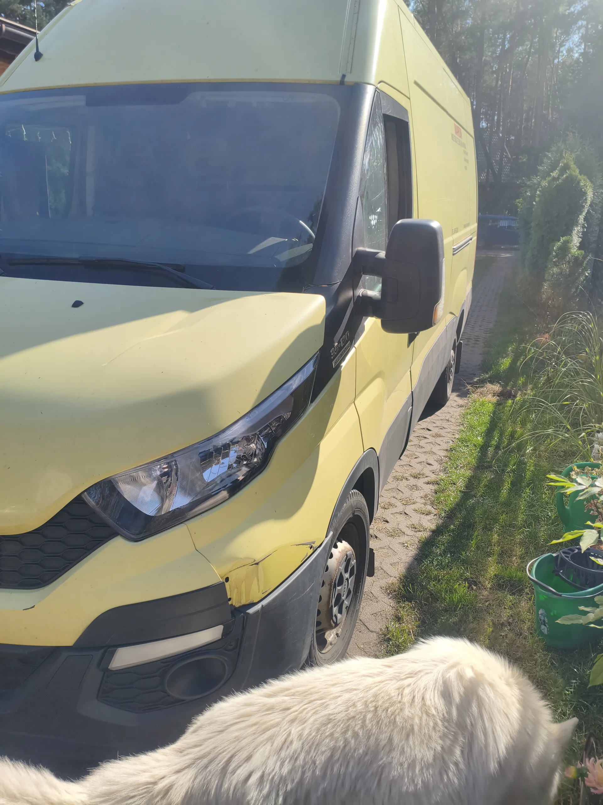 Żółty van z czarnymi akcentami i widocznym uszkodzeniem na przednim zderzaku stoi na brukowanej ścieżce. Przed nim biały pies, po prawej zielone wiadra z roślinami. W tle drzewa i trawa. Słoneczny dzień.