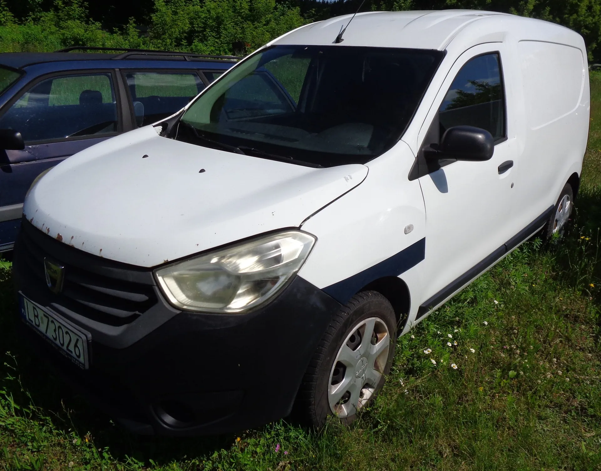 Biały samochód dostawczy marki Renault zaparkowany na trawie. Pojazd ma czarny zderzak przedni i czarne lusterka boczne. Na masce widoczne są niewielkie ślady rdzy. Tablica rejestracyjna ma numer LB 73026. W tle widoczny jest fragment ciemnego samochodu osobowego oraz zielone krzewy.