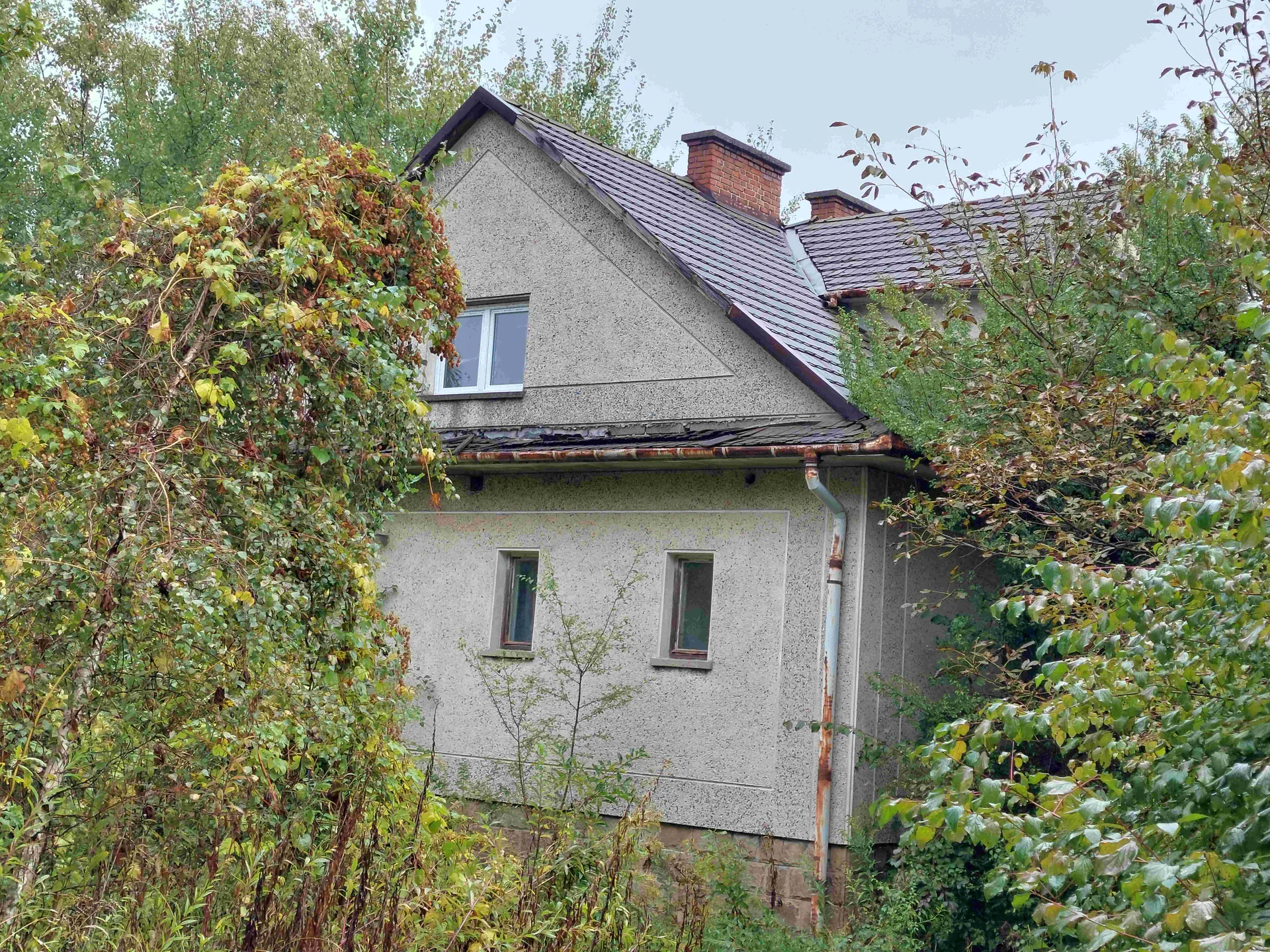 Dom jednorodzinny o szarej, teksturowanej elewacji z ciemnym dachem krytym dachówką. Na dachu znajdują się dwa ceglane kominy. Dom posiada trzy okna: jedno podwójne na piętrze i dwa pojedyncze na parterze. Wokół budynku rosną gęste krzewy i drzewa z zielonymi oraz częściowo żółknącymi liśćmi. Widoczny jest również rdzewiejący rynienek spustowy. Tło stanowi pochmurne niebo.