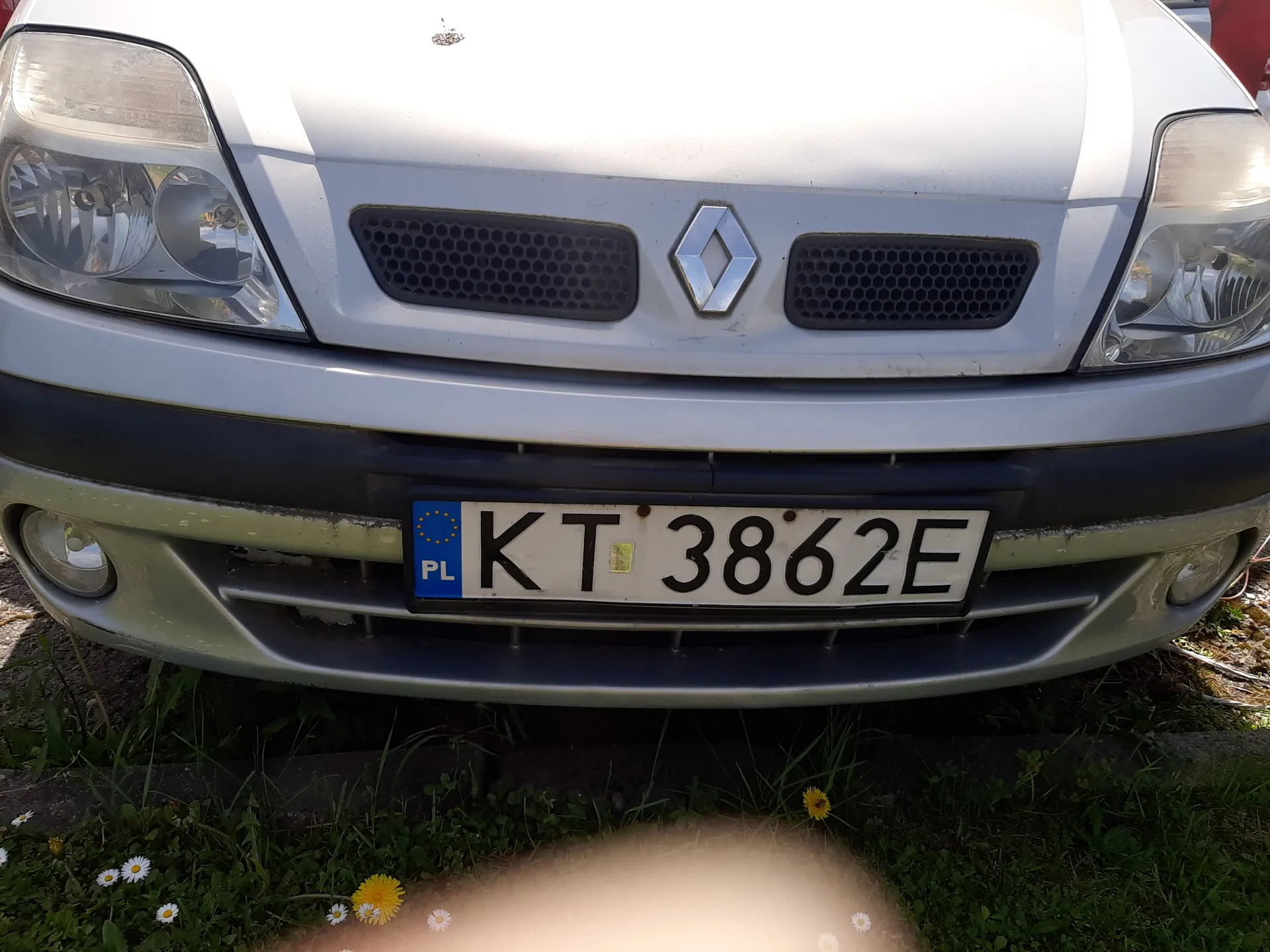 Przód srebrnego samochodu marki Renault z widocznym logo w kształcie rombu na masce. Tablica rejestracyjna z białym tłem, czarnym napisem KT 3862E oraz niebieskim pasem z lewej strony z napisem PL i symbolem Unii Europejskiej. Samochód posiada dwa reflektory, czarną kratę chłodnicy z siatką w kształcie sześciokątów oraz zieloną trawę z białymi i żółtymi kwiatami na dole kadru. Na masce widoczny jest mały przedmiot.