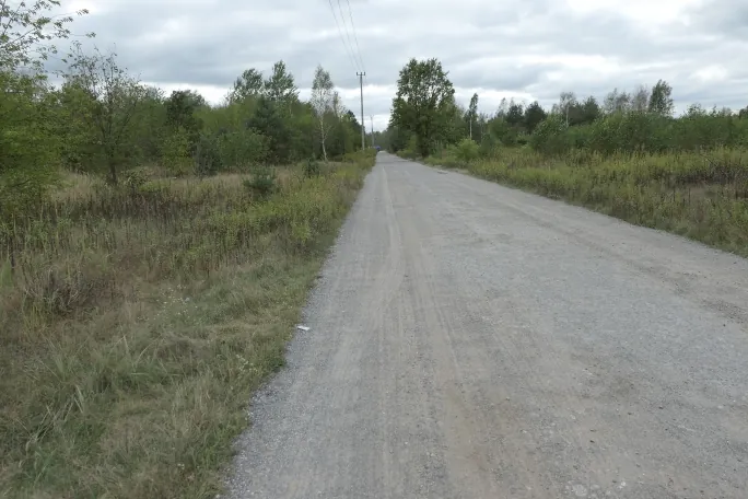 Szutrowa droga prowadząca w głąb krajobrazu, otoczona po obu stronach niską roślinnością, trawami i młodymi drzewami. W oddali widoczne są wyższe drzewa oraz słupy linii energetycznych pod zachmurzonym niebem.