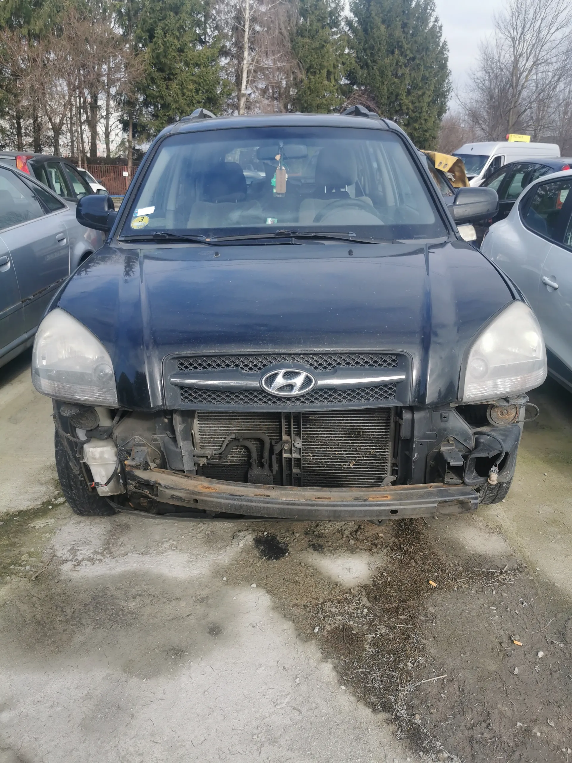 Ciemnoniebieski SUV marki Hyundai z uszkodzonym przodem, brakującym zderzakiem i odsłoniętym chłodnikiem. Na przedniej szybie widoczna żółta naklejka z cyfrą '3'. W tle zaparkowane samochody, drzewa bez liści oraz zielone iglaste drzewa. Podłoga z betonu i ziemi z suchymi łodygami.