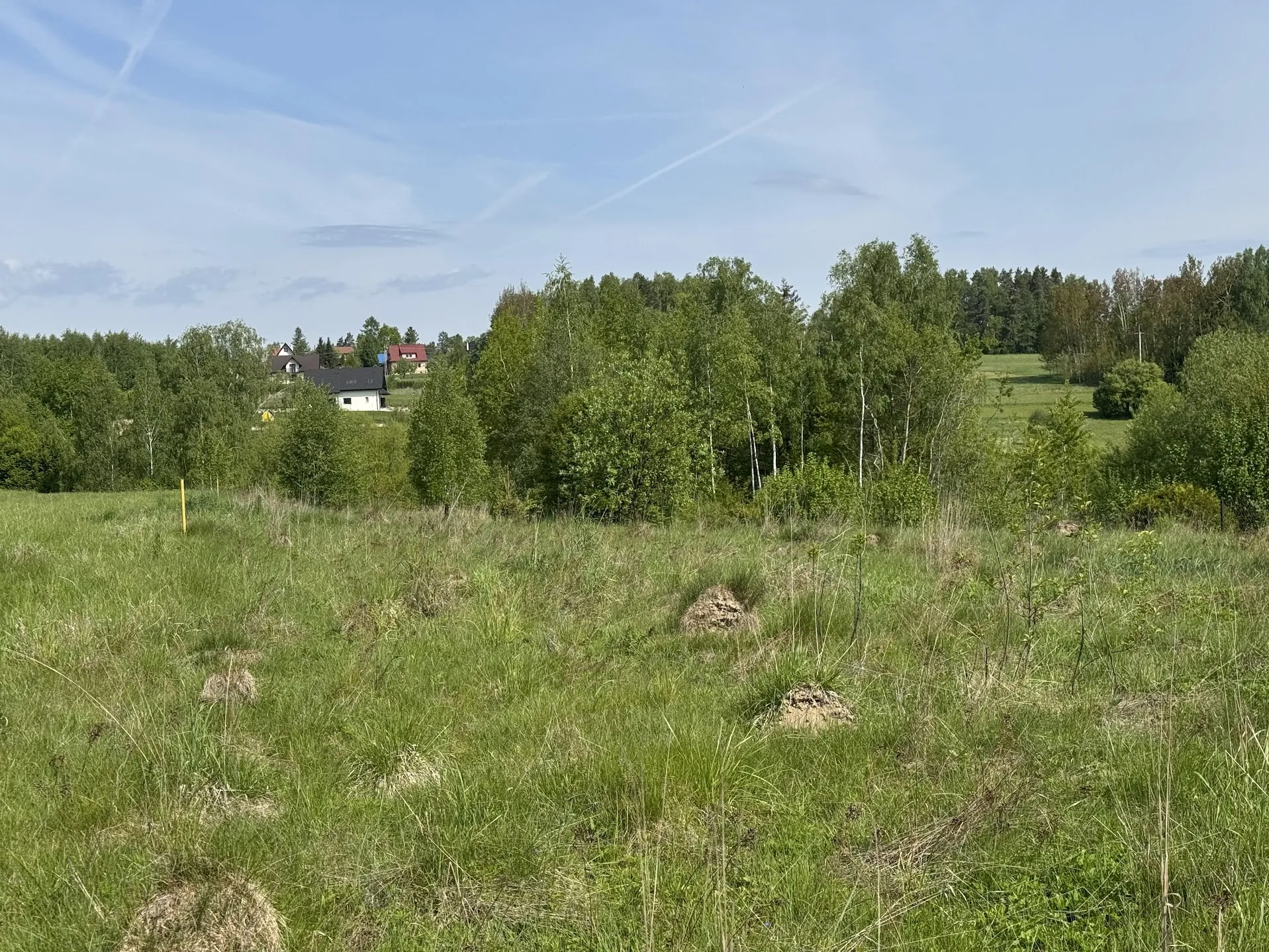 Rozległe zielone pole z trawą i kilkoma kopami ziemi, na tle gęsty las z zielonymi drzewami. W oddali widoczne są domy z czerwonymi i ciemnymi dachami. Niebo jest błękitne z delikatnymi chmurami i śladami samolotowymi. Linia horyzontu jest pozioma, a drzewa rosną pionowo.