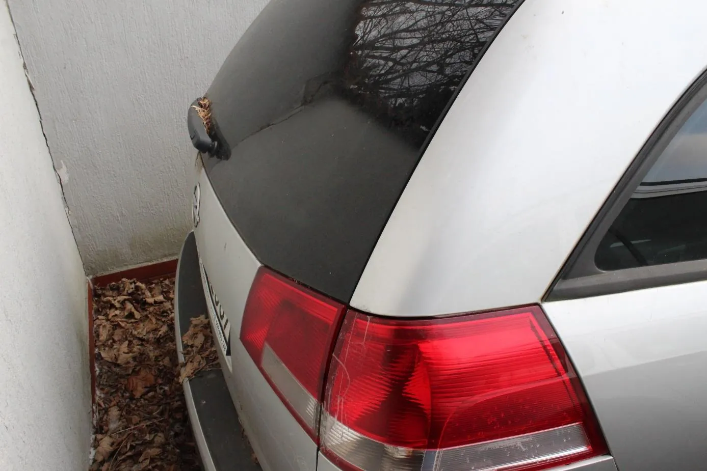Zbliżenie na tylną część srebrnego samochodu zaparkowanego przy białej ścianie. Widoczne są czerwone światła tylnego, ciemne tylne szyby z odbiciem nagich gałęzi drzew, fragment tablicy rejestracyjnej oraz suchych liści na ziemi przy ścianie. Samochód ma lekkie zabrudzenia na karoserii.
